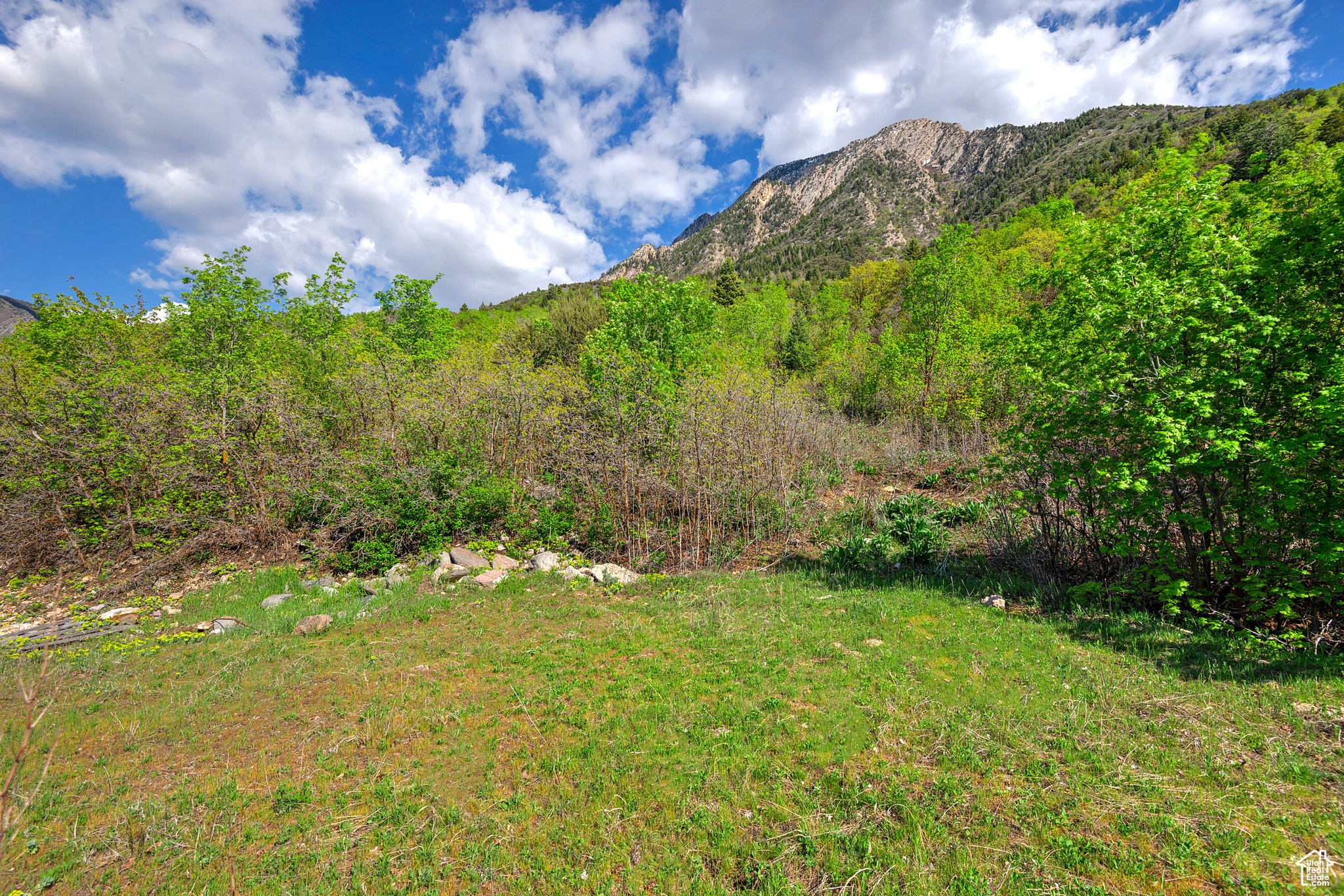 SKYLINE HILLS - Land