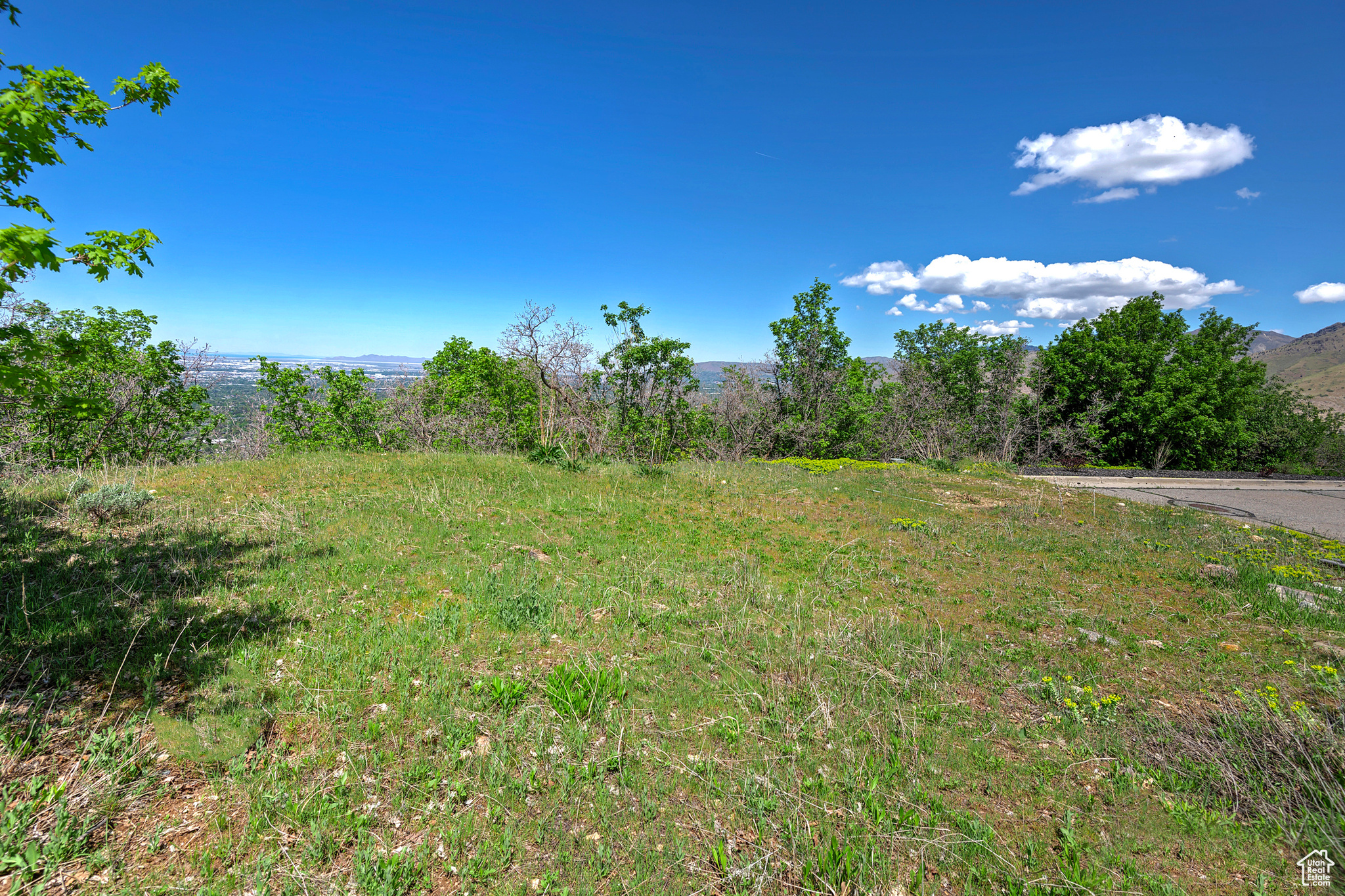 SKYLINE HILLS - Land