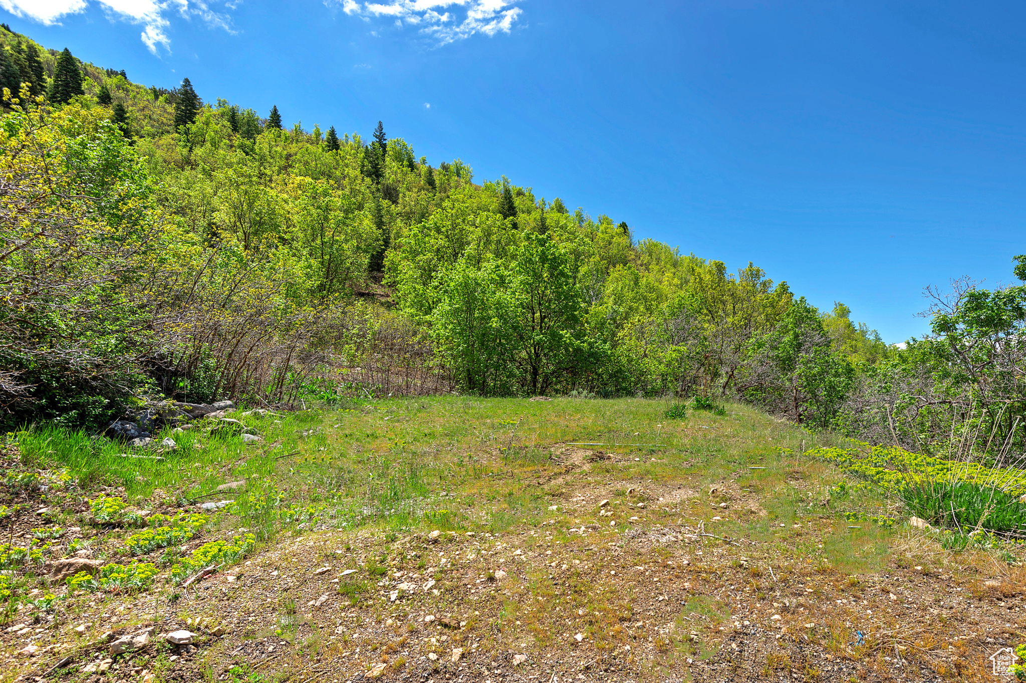 SKYLINE HILLS - Land