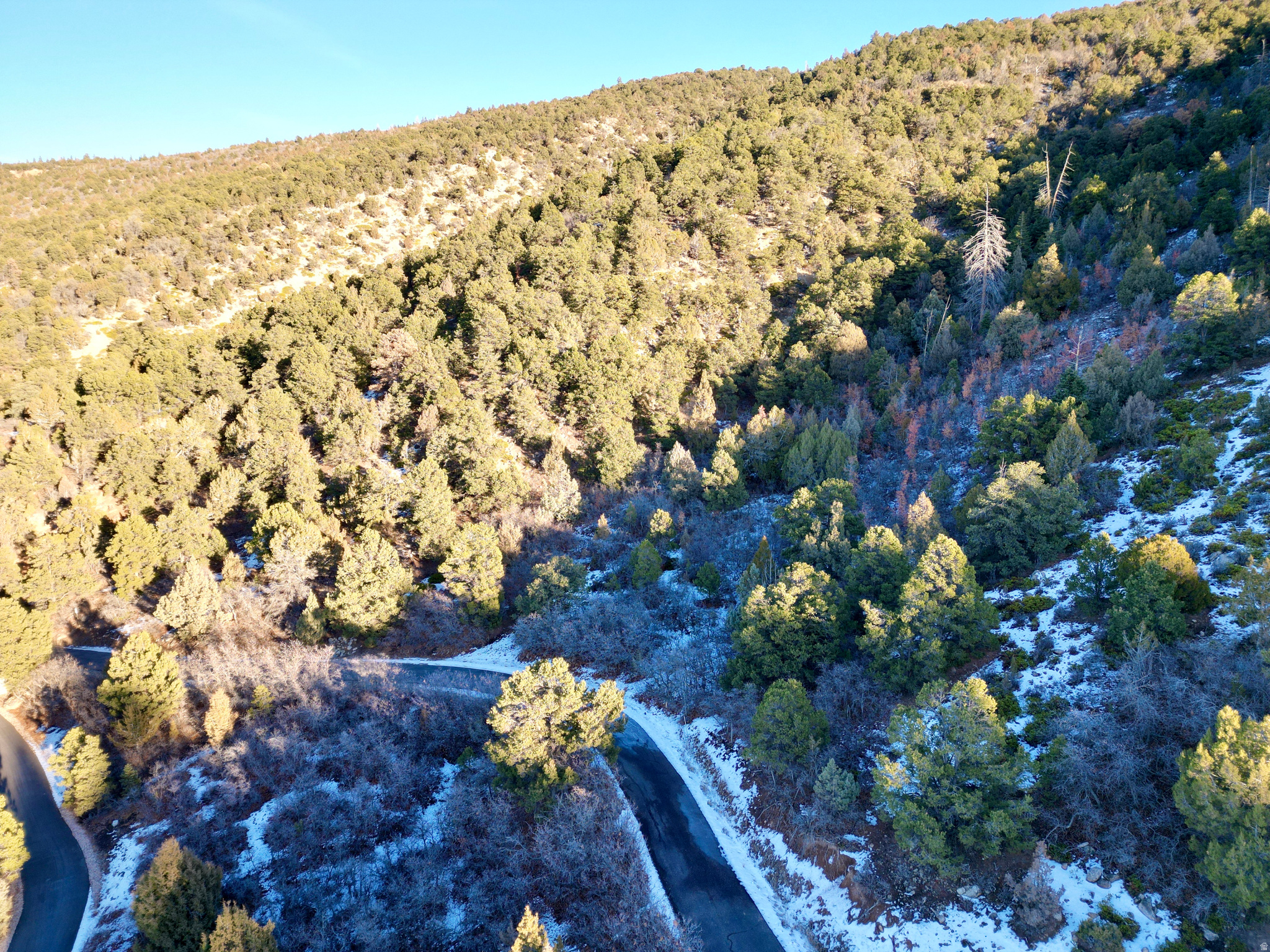 HORSESHOE MT RANCH - Land