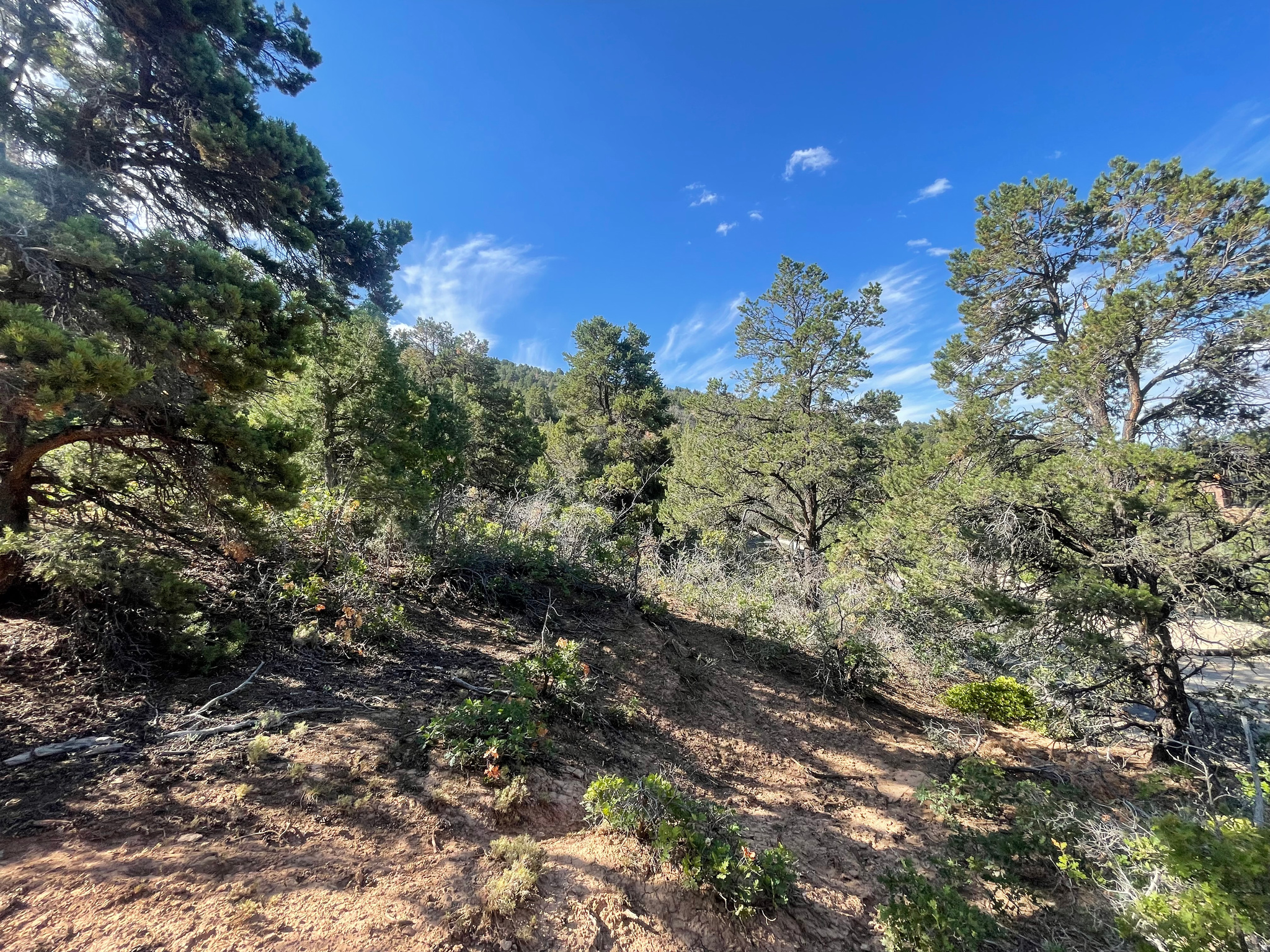 HORSESHOE MT RANCH - Land