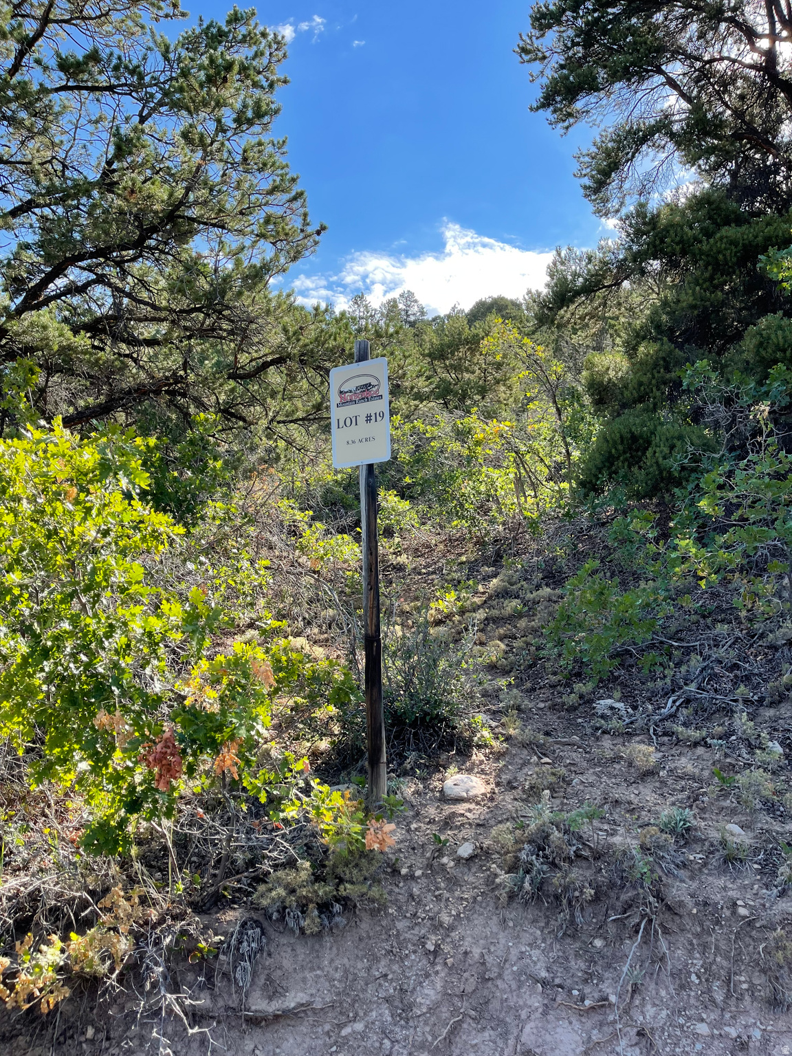 HORSESHOE MT RANCH - Land