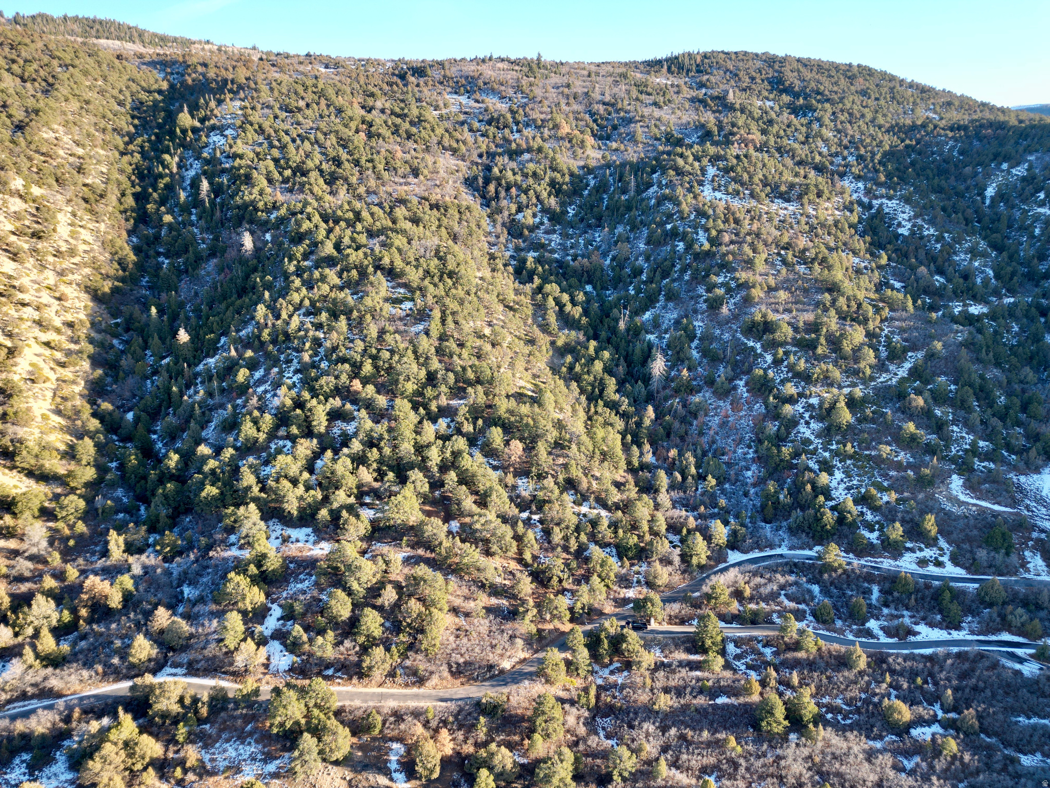 HORSESHOE MT RANCH - Land