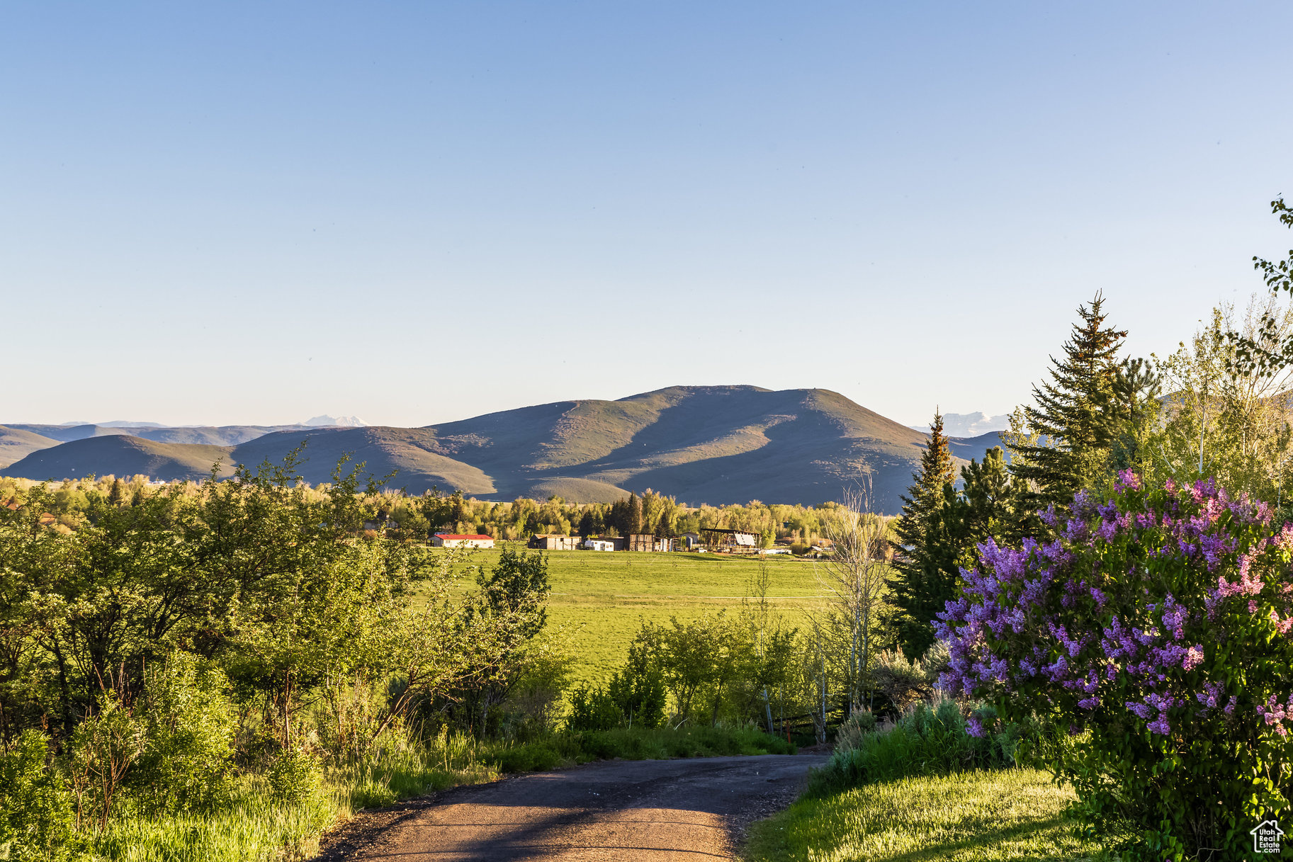 528 W Weber Canyon Rd, Oakley, Utah image 29