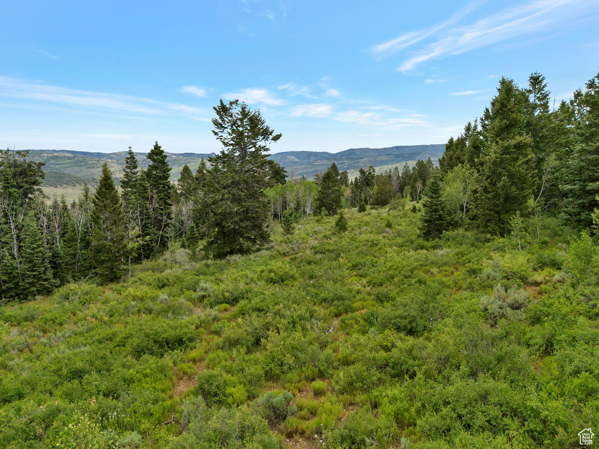 SOLDIER SUMMIT ESTATES - Land