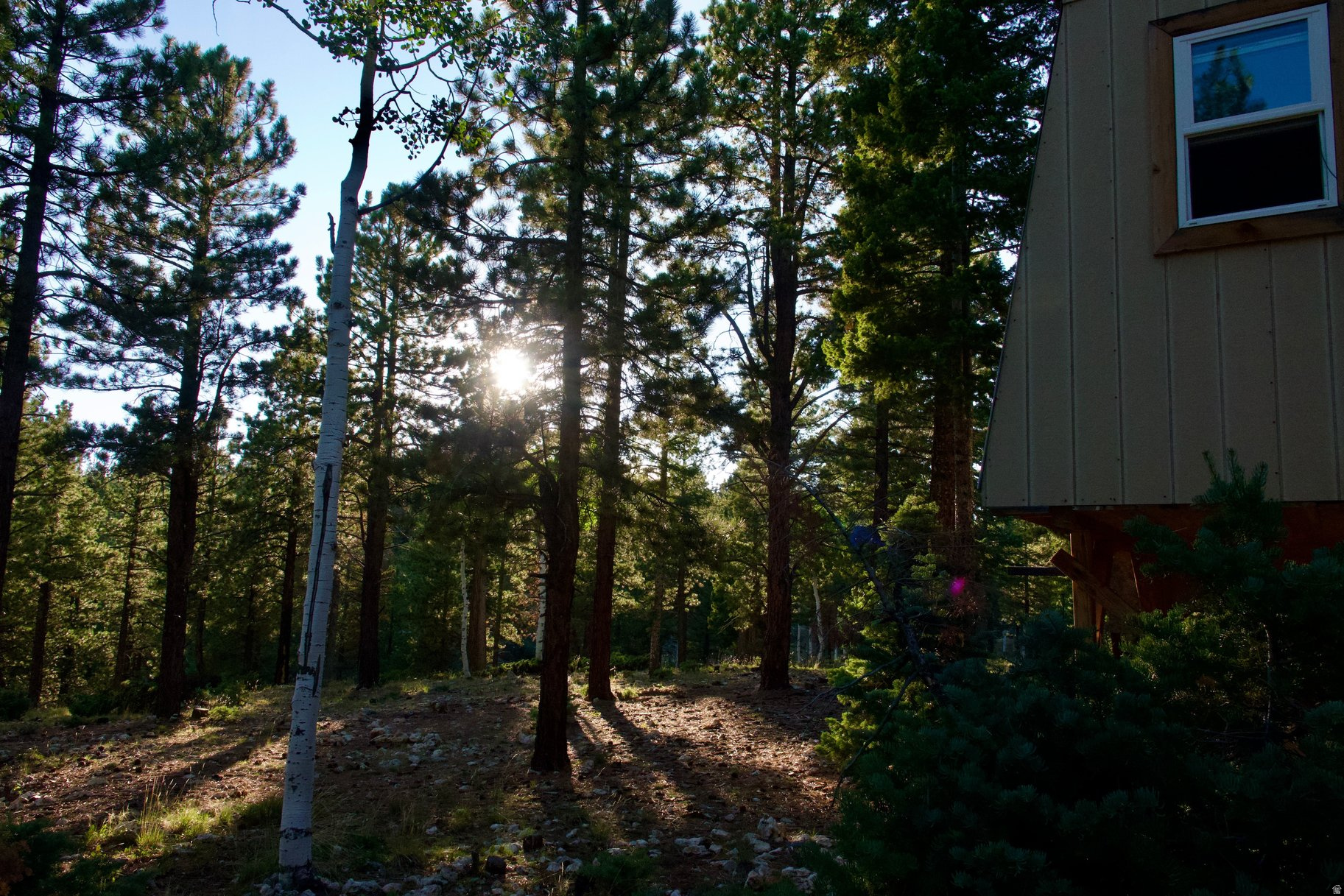 MEADOW VIEW ESTATES - Residential