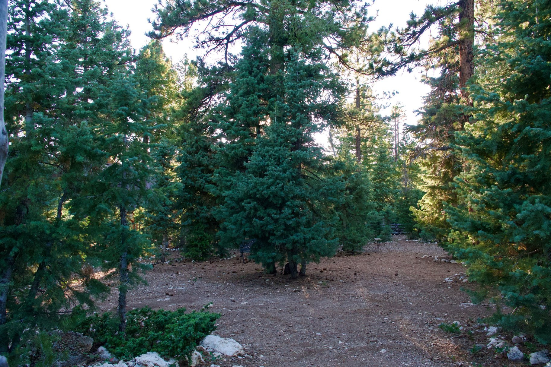 MEADOW VIEW ESTATES - Residential