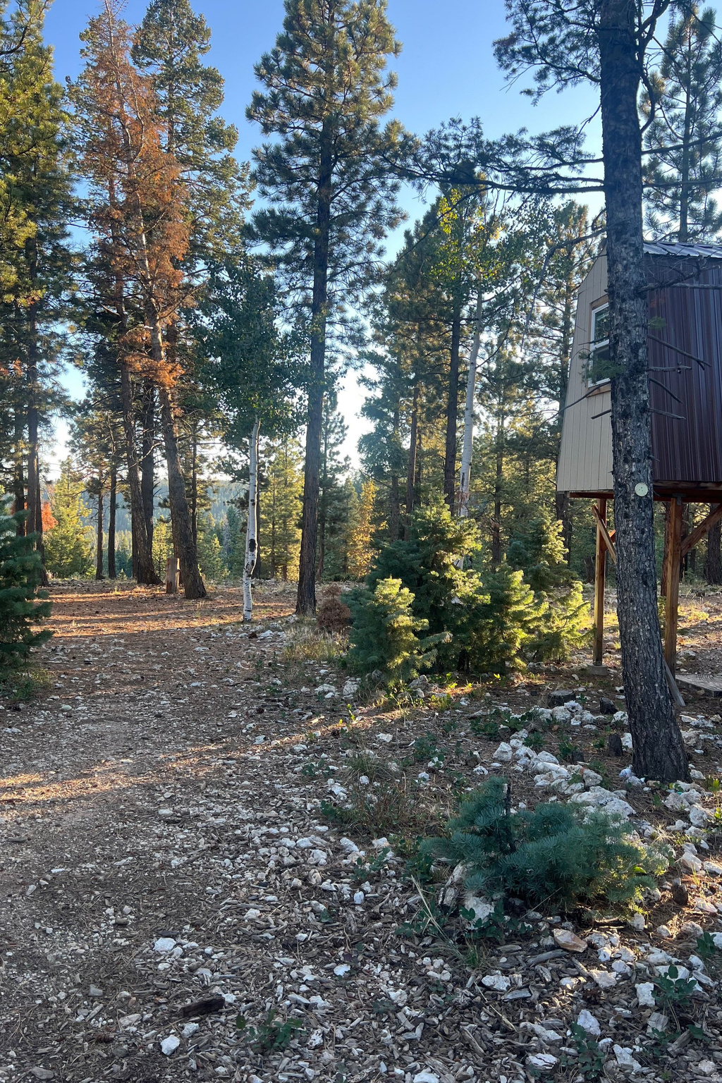 MEADOW VIEW ESTATES - Residential