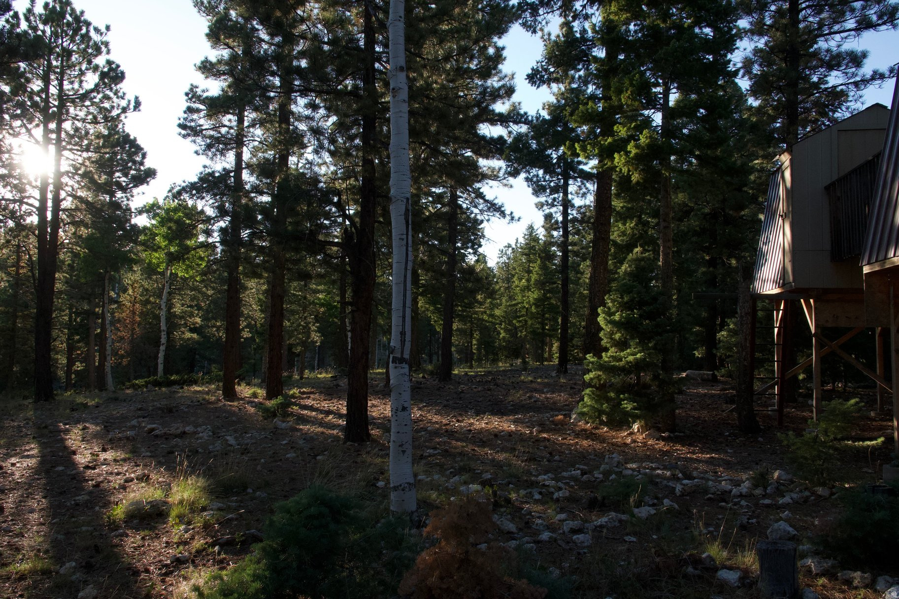 MEADOW VIEW ESTATES - Residential