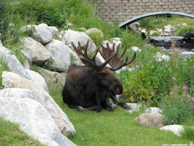 POWDERHORN - Residential