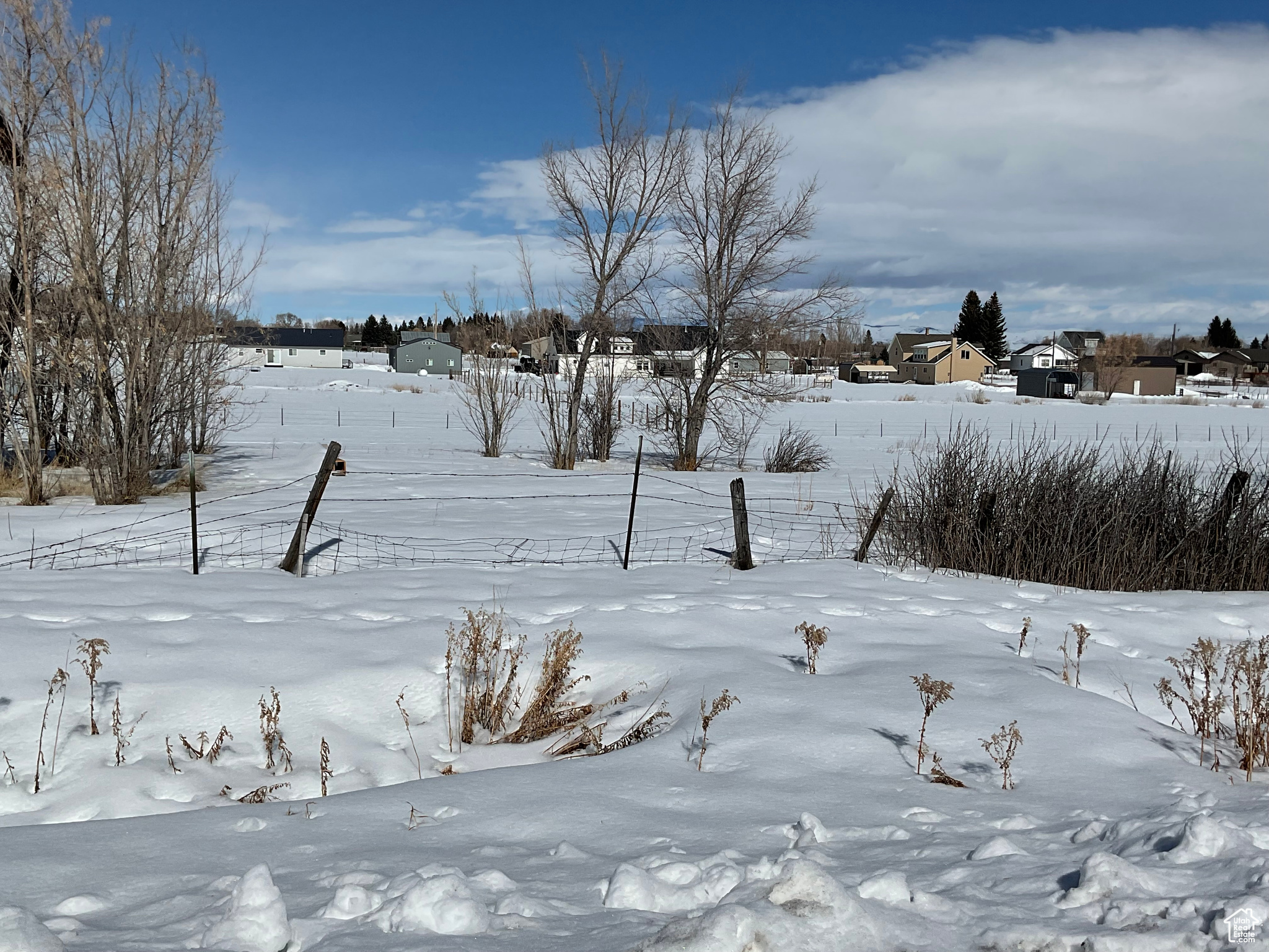 Land, Saint Charles, Idaho image 1