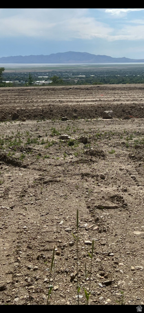 ROCK LOFT RIDGE ESTATES - Land