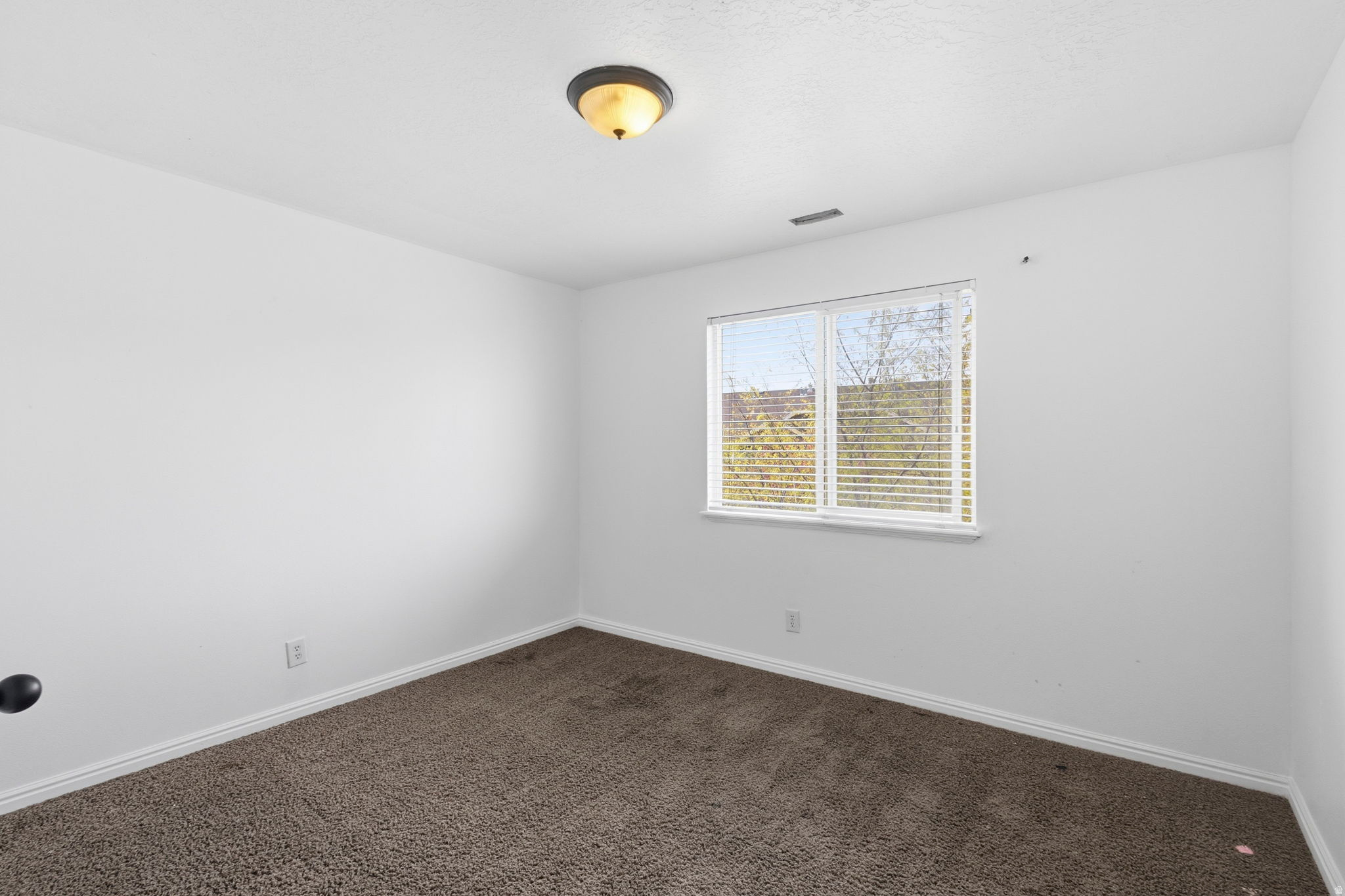 WILLOW SPRINGS - Residential