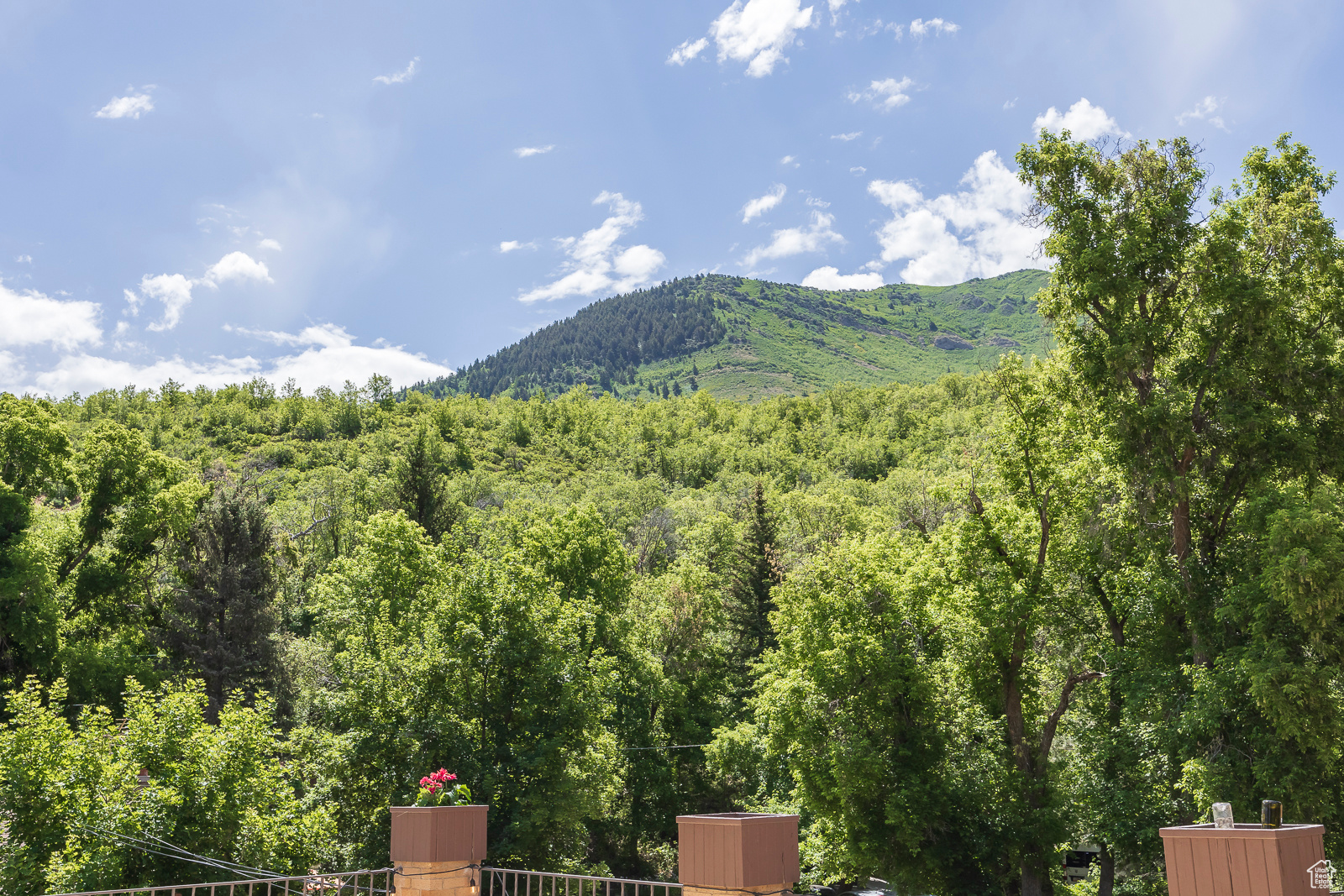 PIONEER - Residential