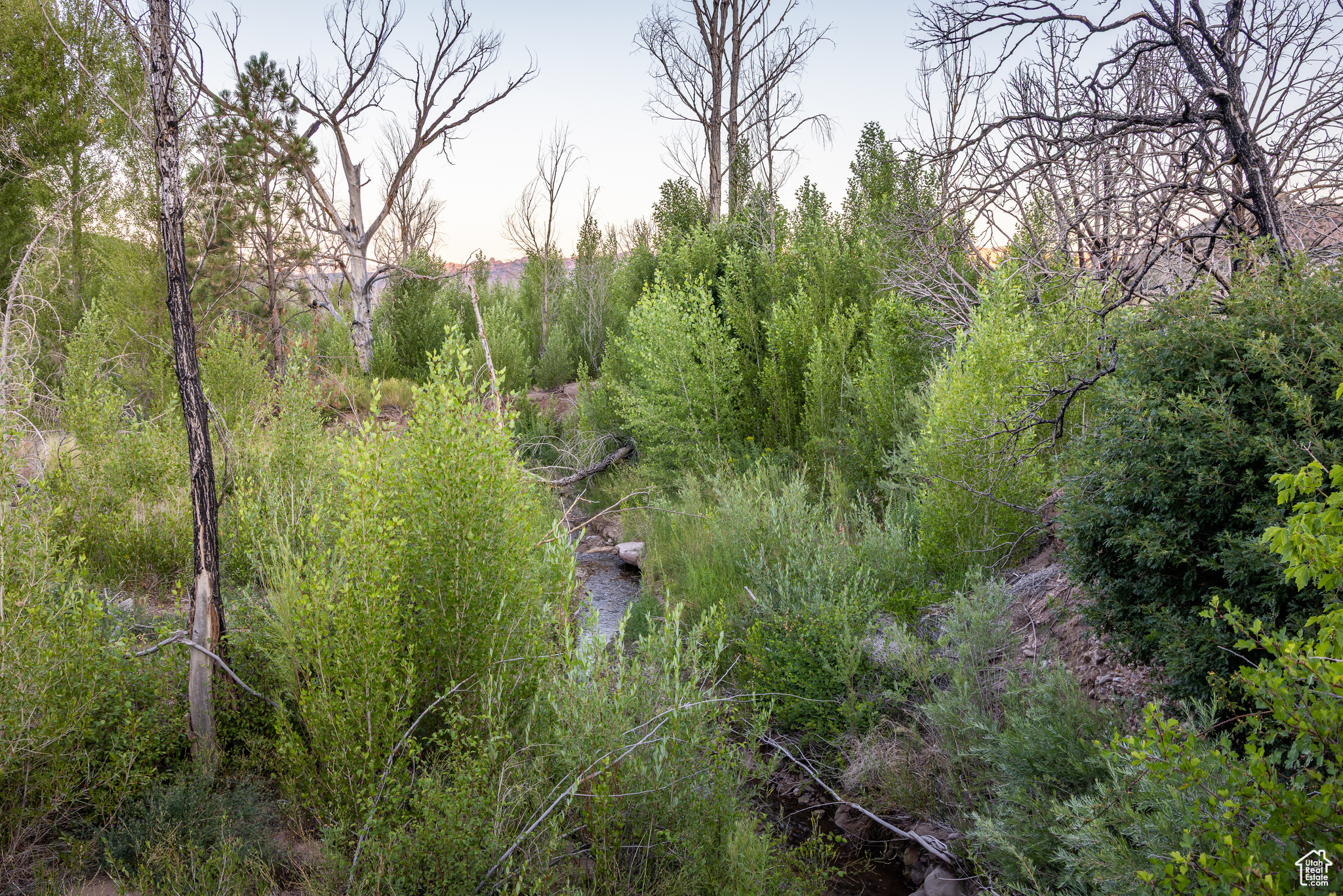 SHANTEAU SUBDIVISION - Residential