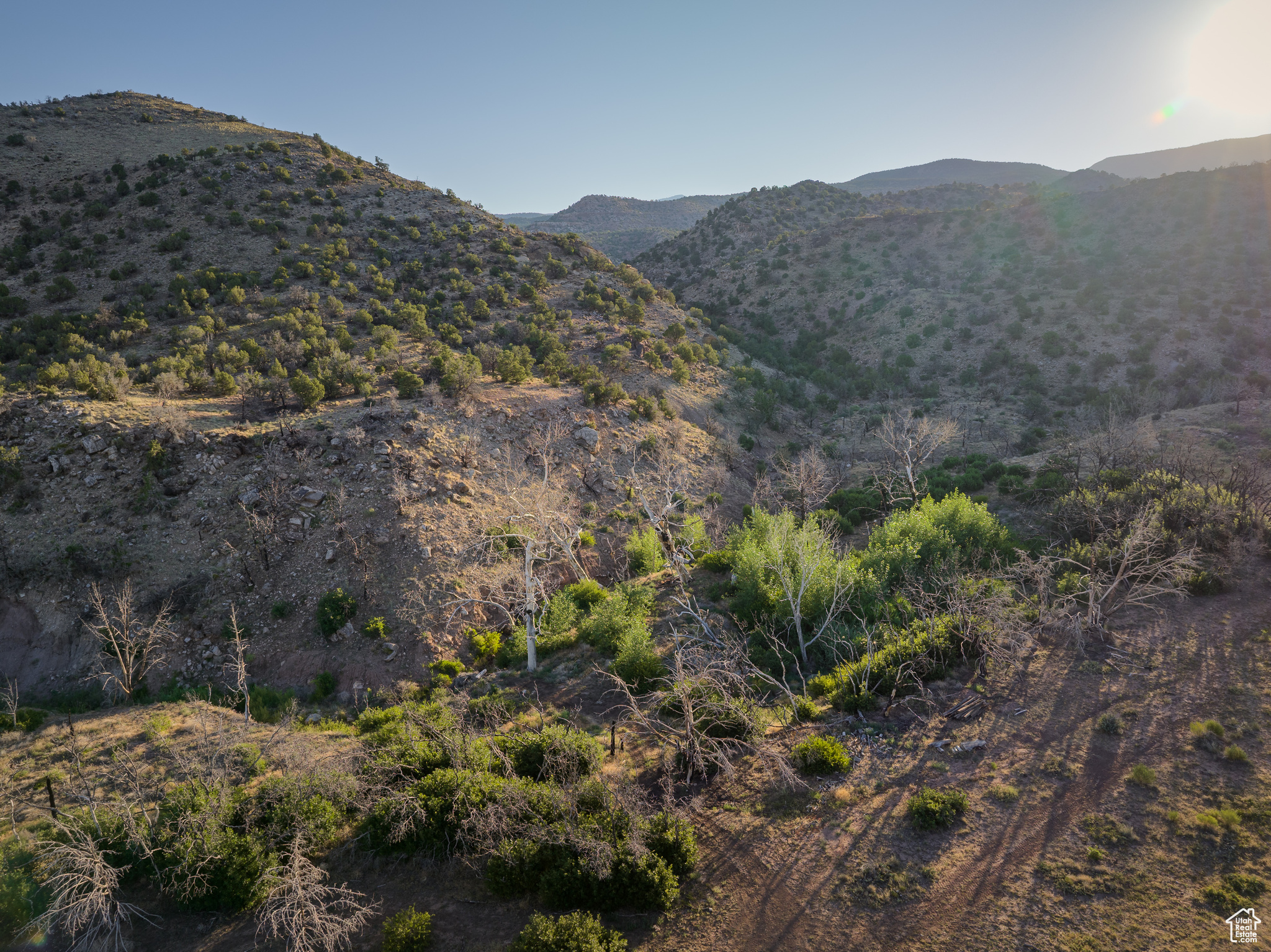 SHANTEAU SUBDIVISION - Residential