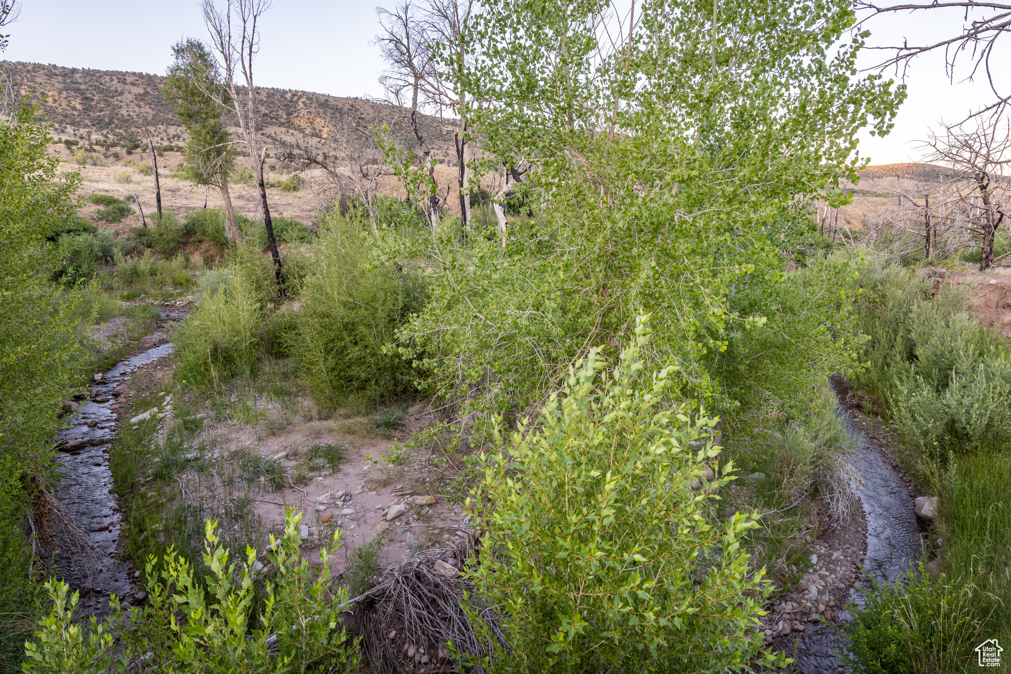 SHANTEAU SUBDIVISION - Residential