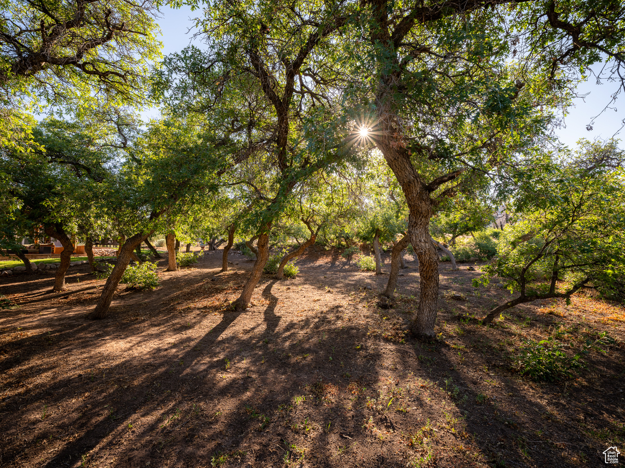 SHANTEAU SUBDIVISION - Residential