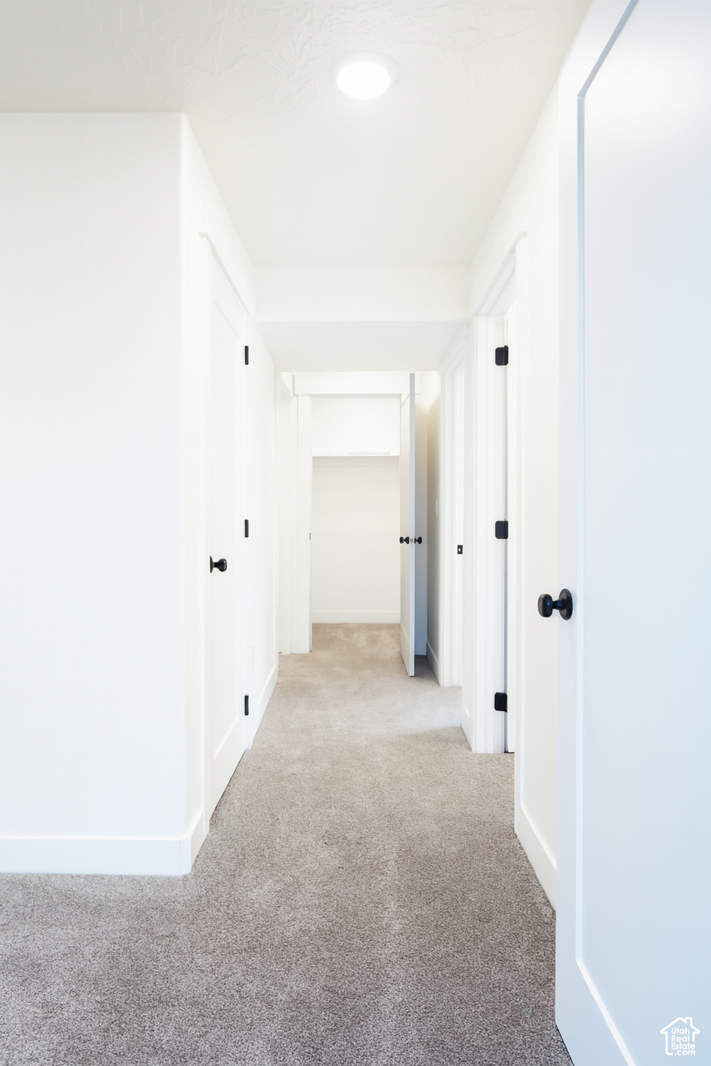 BLACK SAGE - Residential