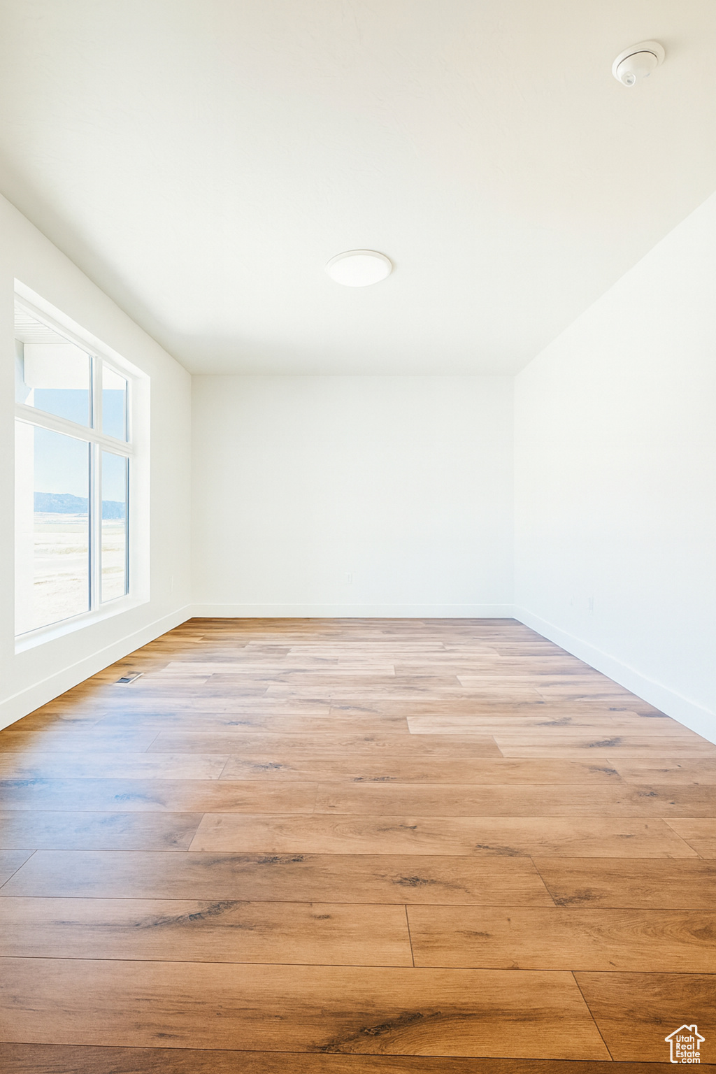 BLACK SAGE - Residential