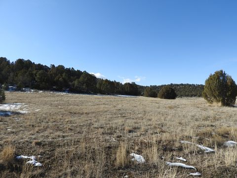 Vacant Land For Sale - 34465 N 9755<br/> Fairview, UT 84629