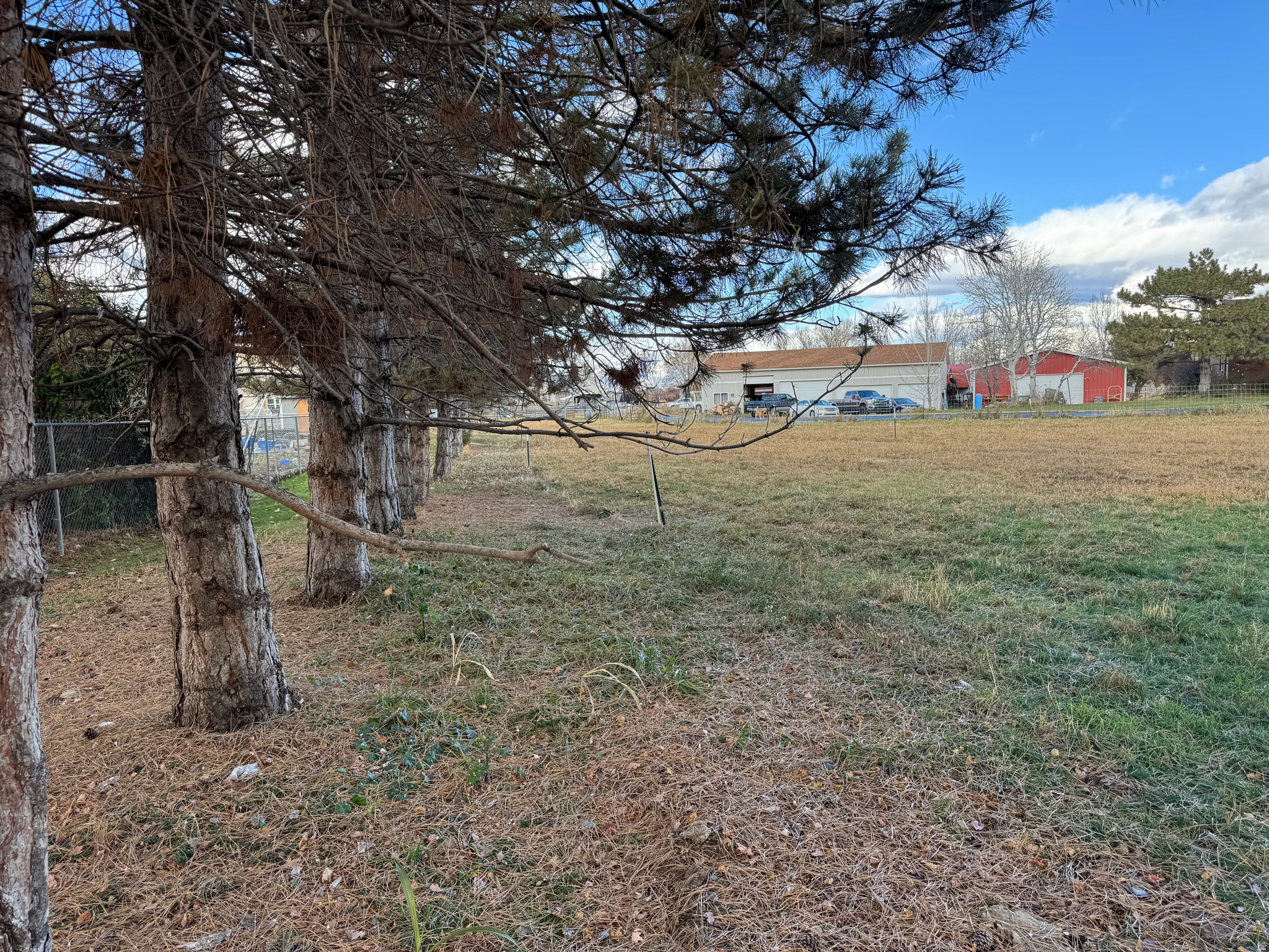 ORCHARD COVE - Residential