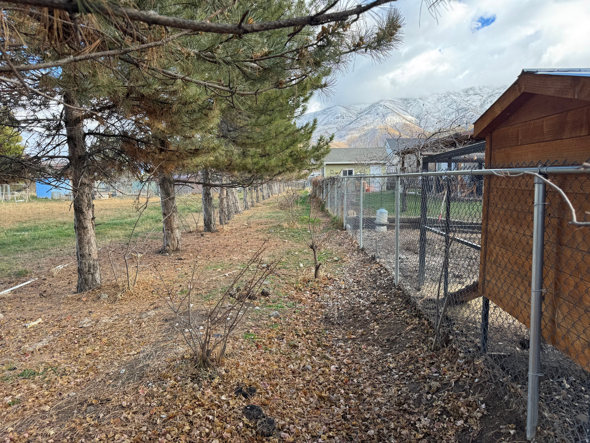 ORCHARD COVE - Residential