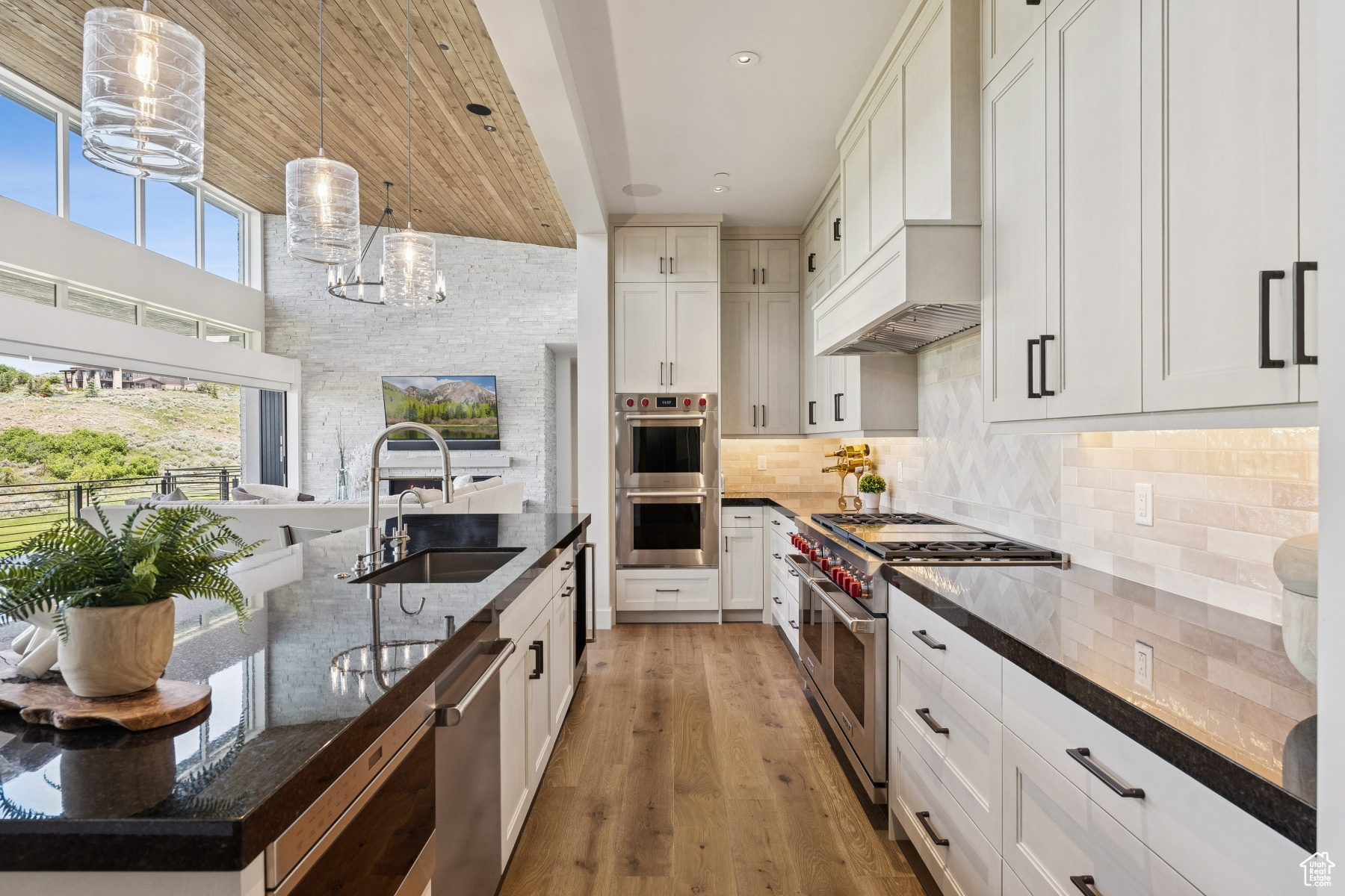 PINNACLE AT PROMONTORY - Residential