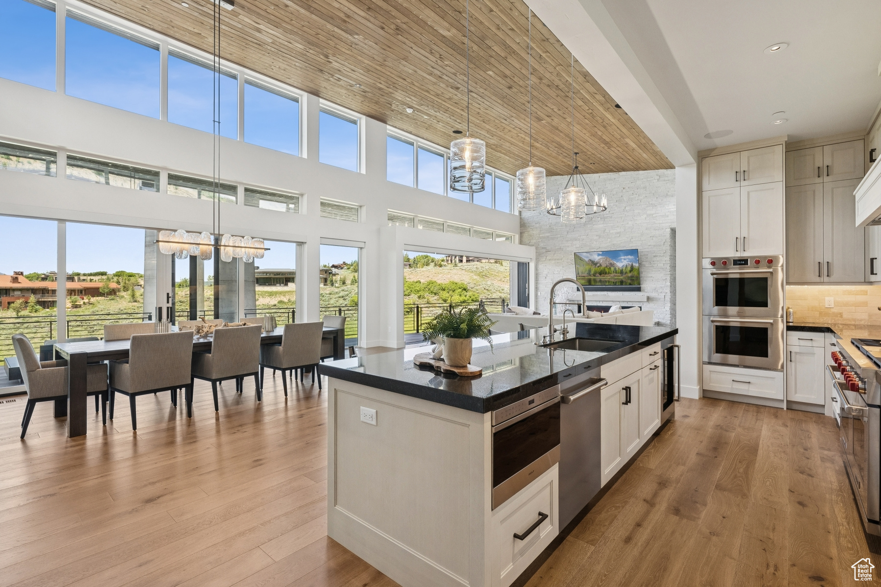 PINNACLE AT PROMONTORY - Residential