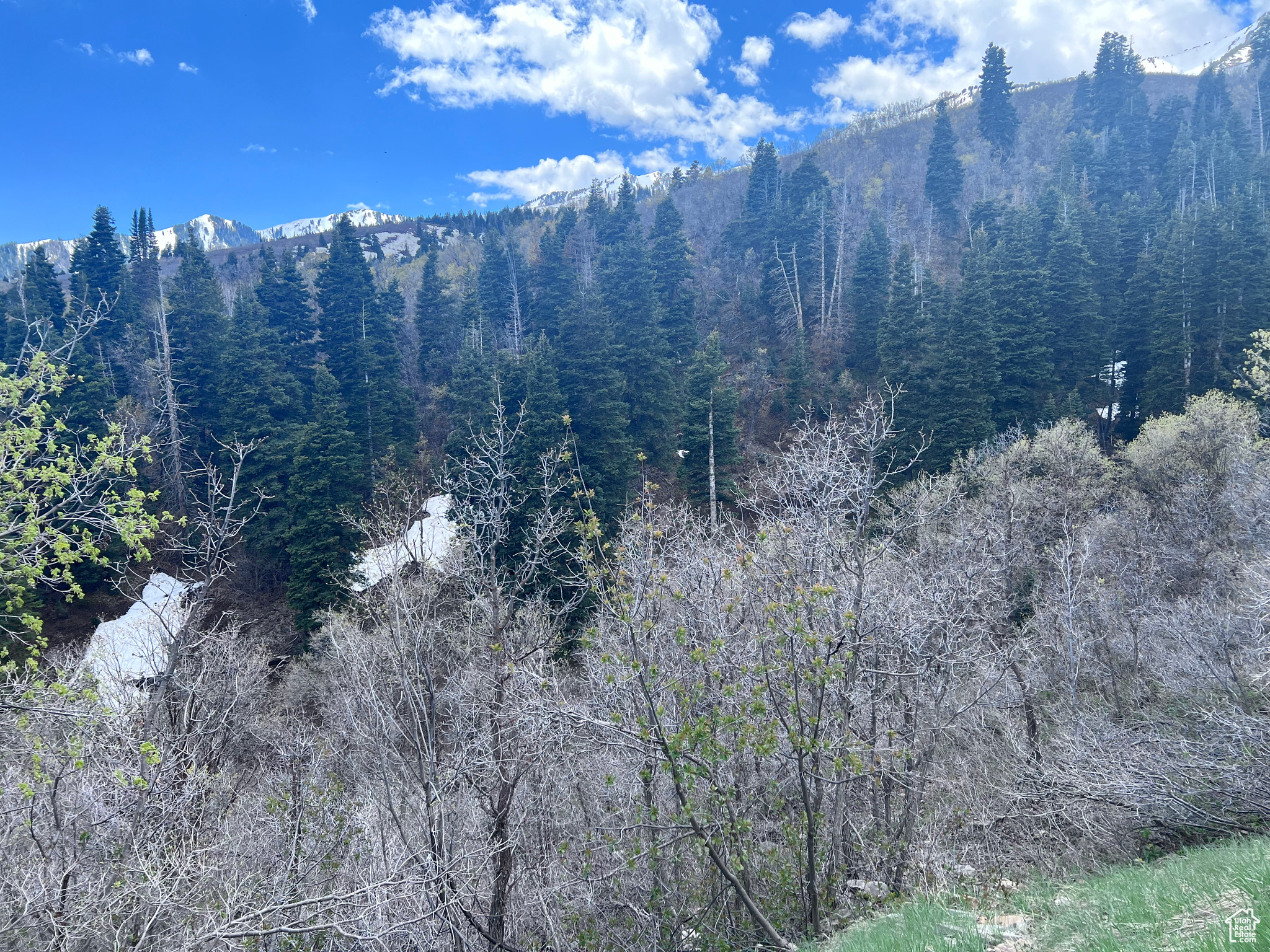 Springville, Utah 84663, United States, ,Land,Active,165708