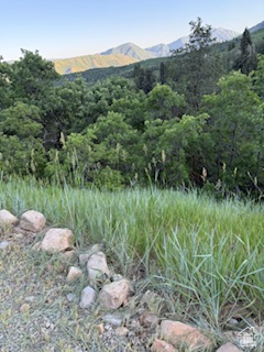 Springville, Utah 84663, United States, ,Land,Active,165708