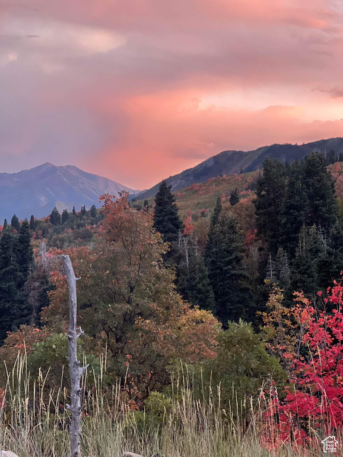 Springville, Utah 84663, United States, ,Land,Active,165708