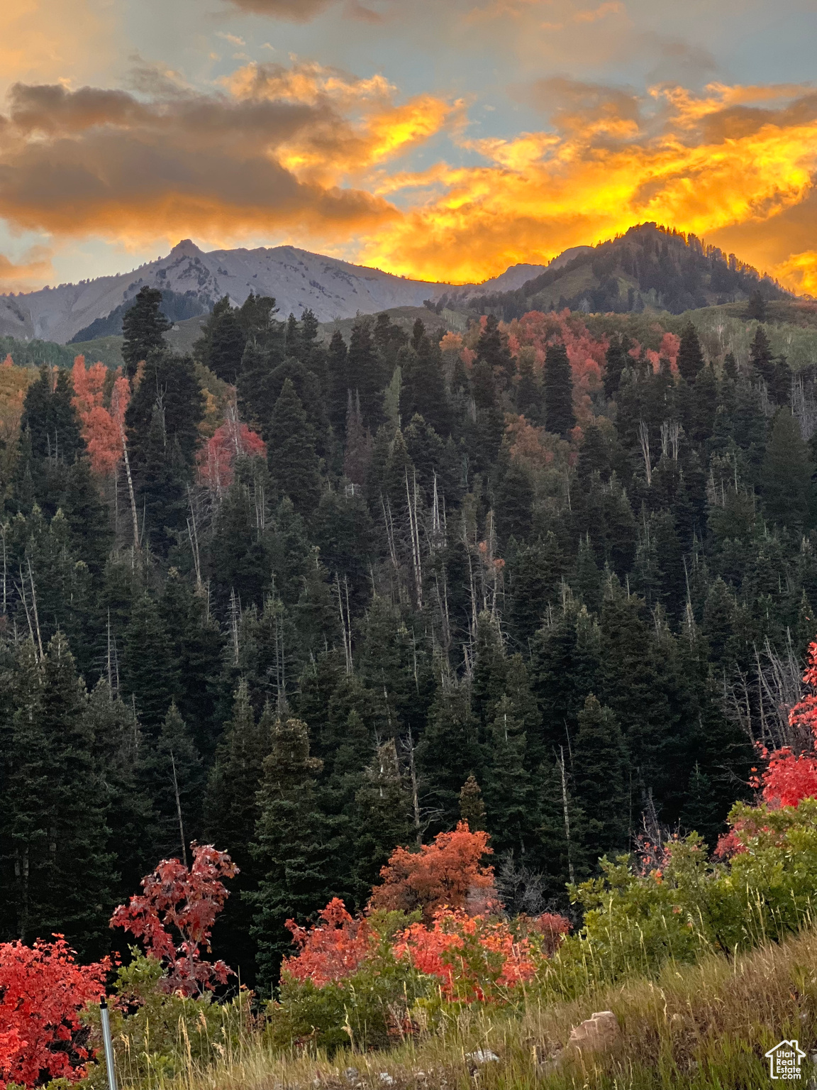 Springville, Utah 84663, United States, ,Land,Active,165708