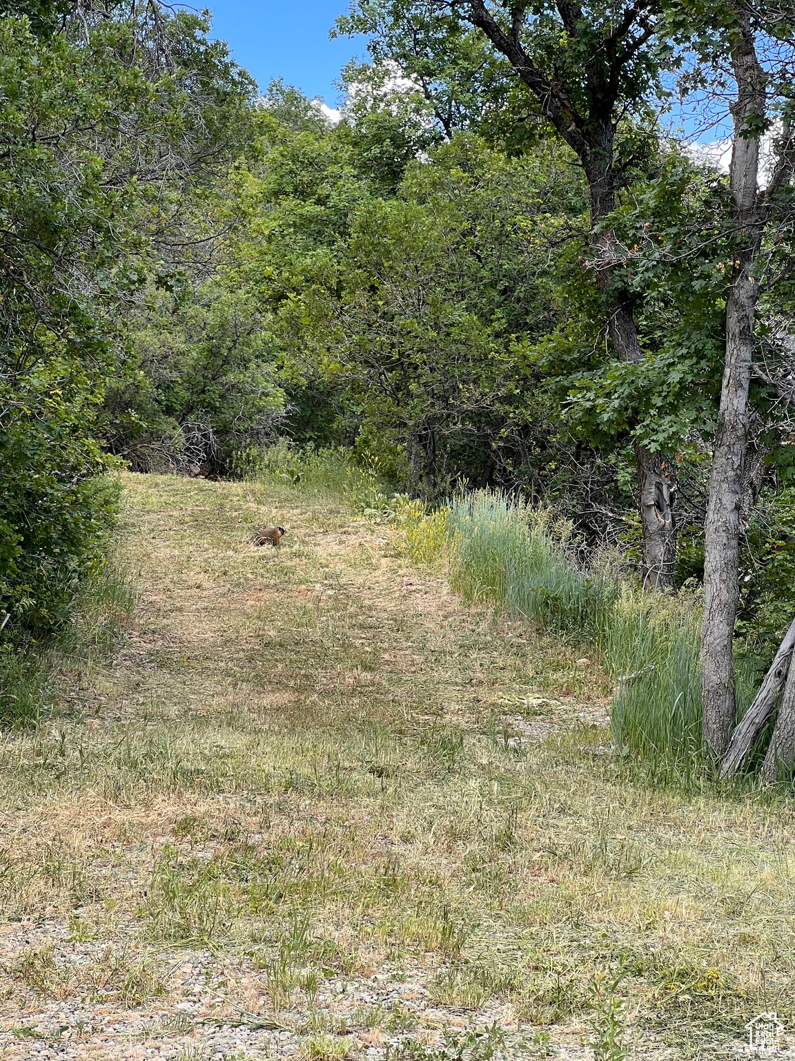 Springville, Utah 84663, United States, ,Land,Active,165708