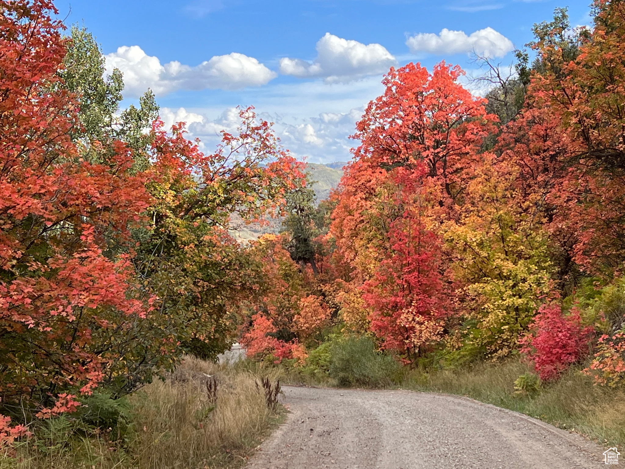 Springville, Utah 84663, United States, ,Land,Active,165708