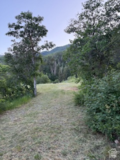 Springville, Utah 84663, United States, ,Land,Active,165708