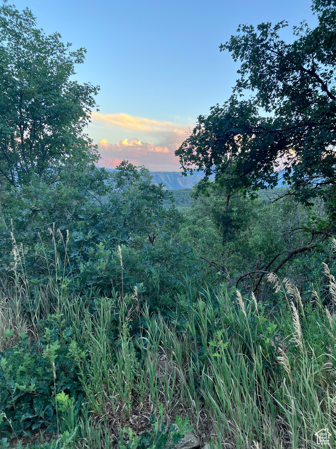 Springville, Utah 84663, United States, ,Land,Active,165708