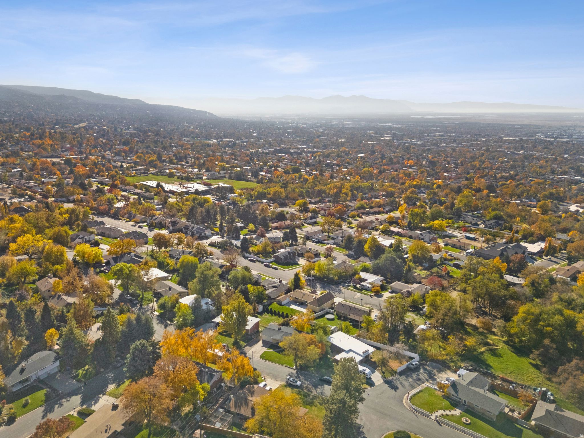 ELLIS PARK - Residential