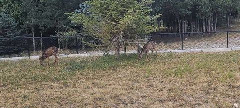 Tiny photo for 1007 S SUMMIT CREEK DR #168, Woodland Hills, UT 84653 (MLS # 2092229)