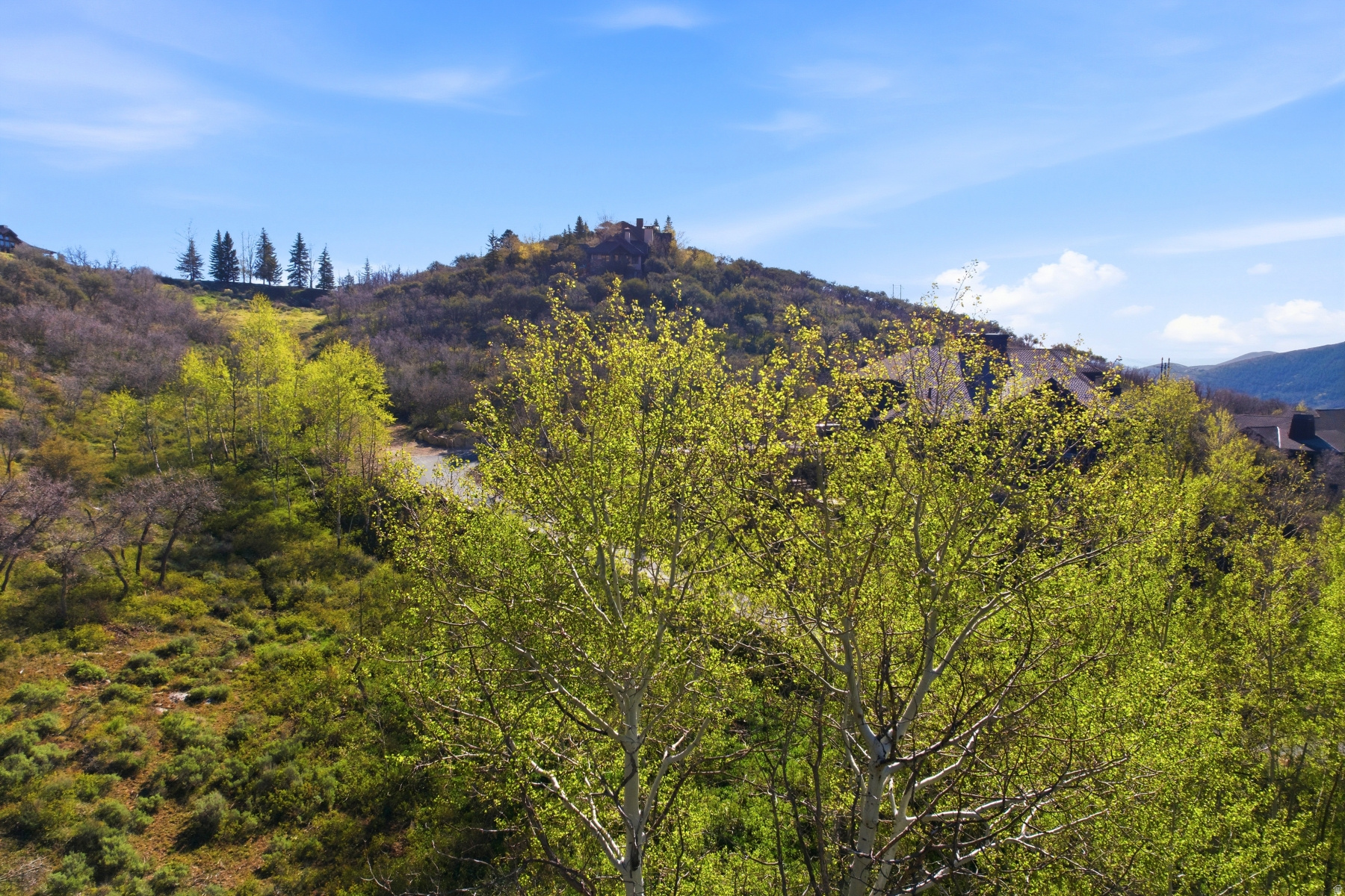 CEDAR DRAW ESTATES SUBDIVISION - Land