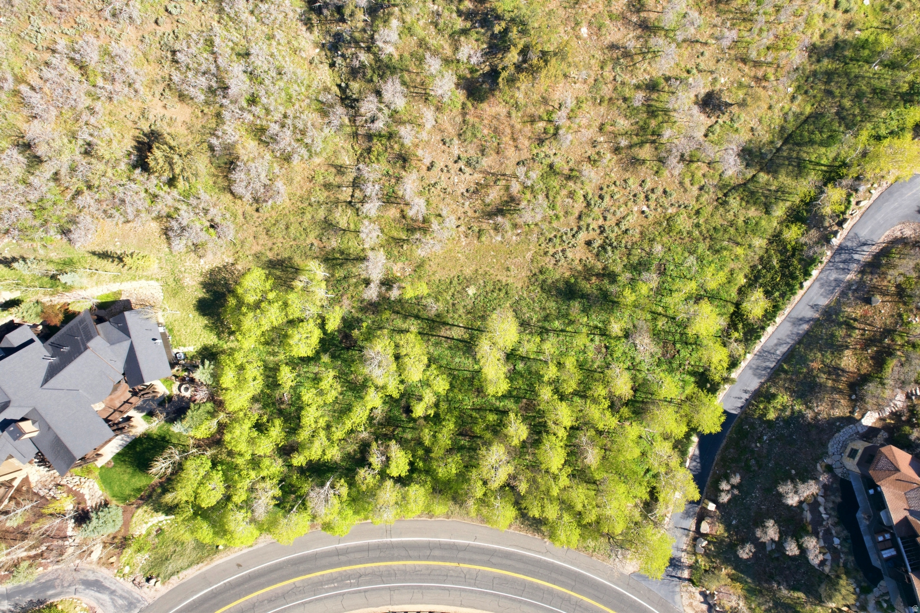 CEDAR DRAW ESTATES SUBDIVISION - Land