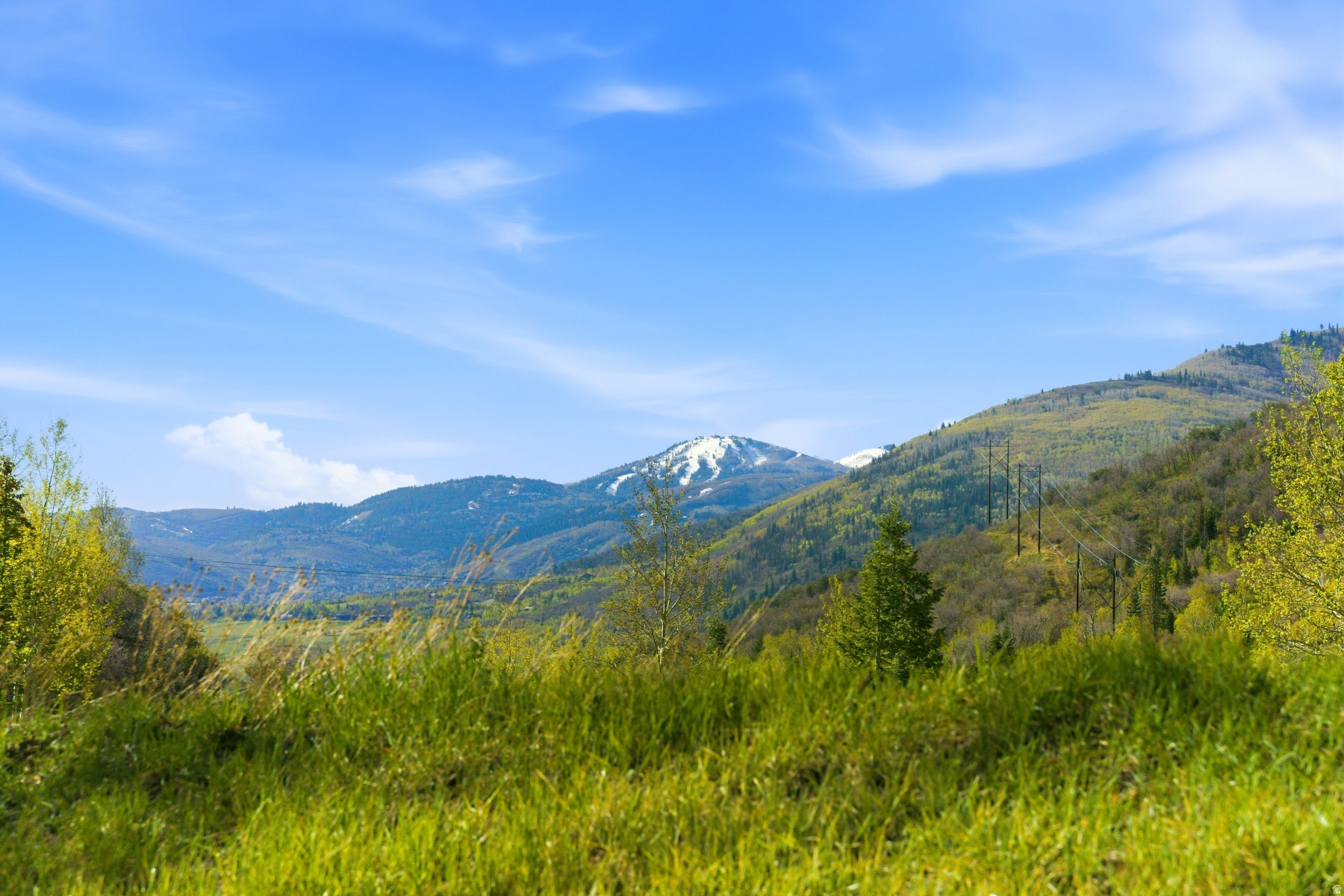 CEDAR DRAW ESTATES SUBDIVISION - Land