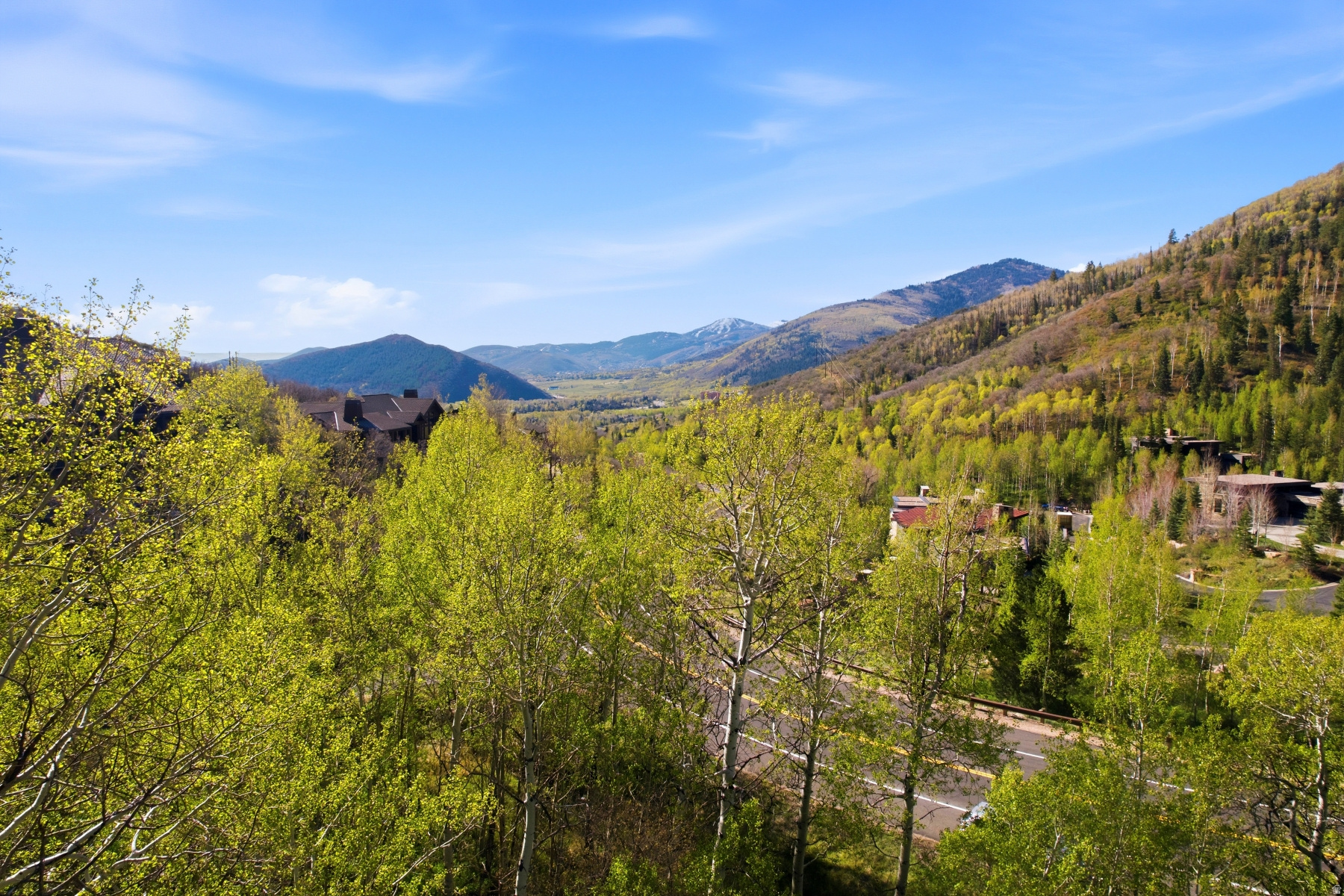 CEDAR DRAW ESTATES SUBDIVISION - Land
