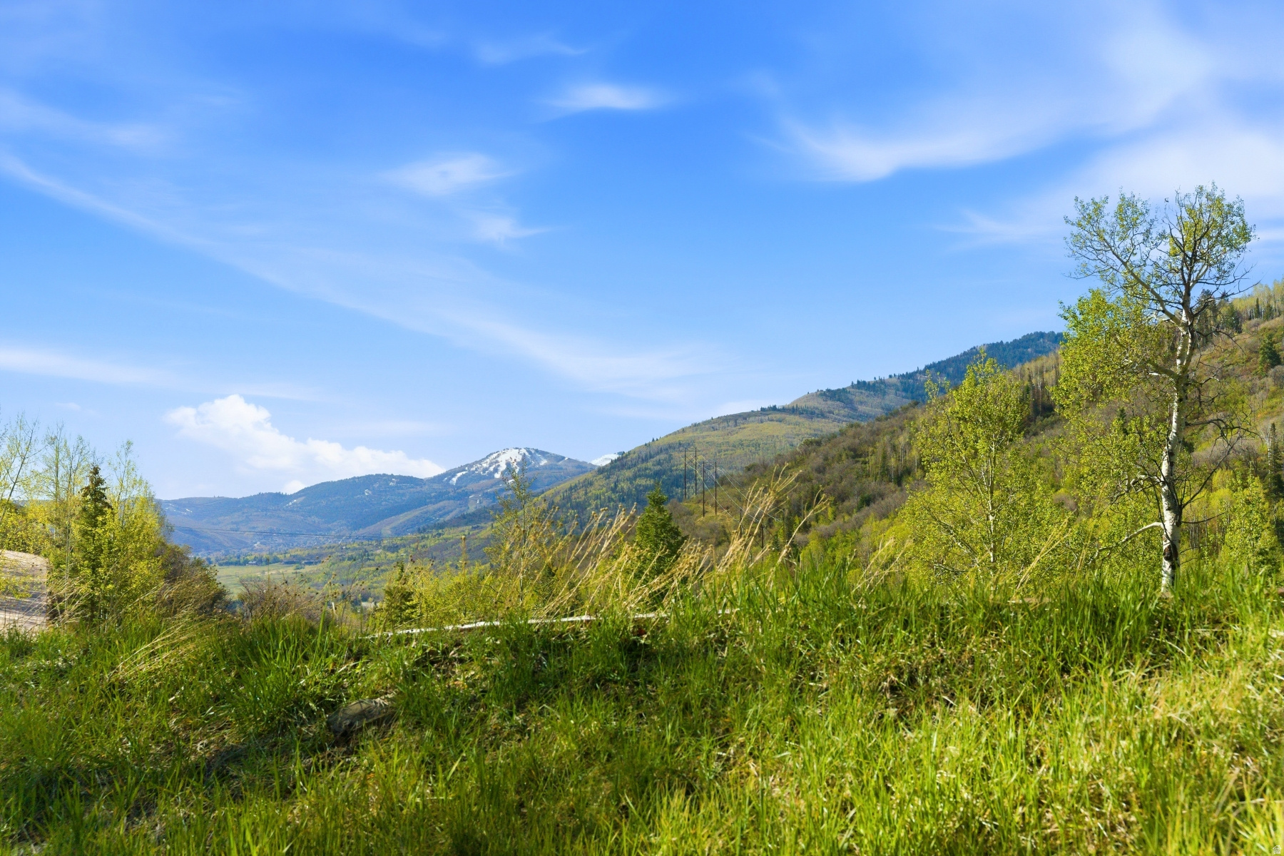 CEDAR DRAW ESTATES SUBDIVISION - Land
