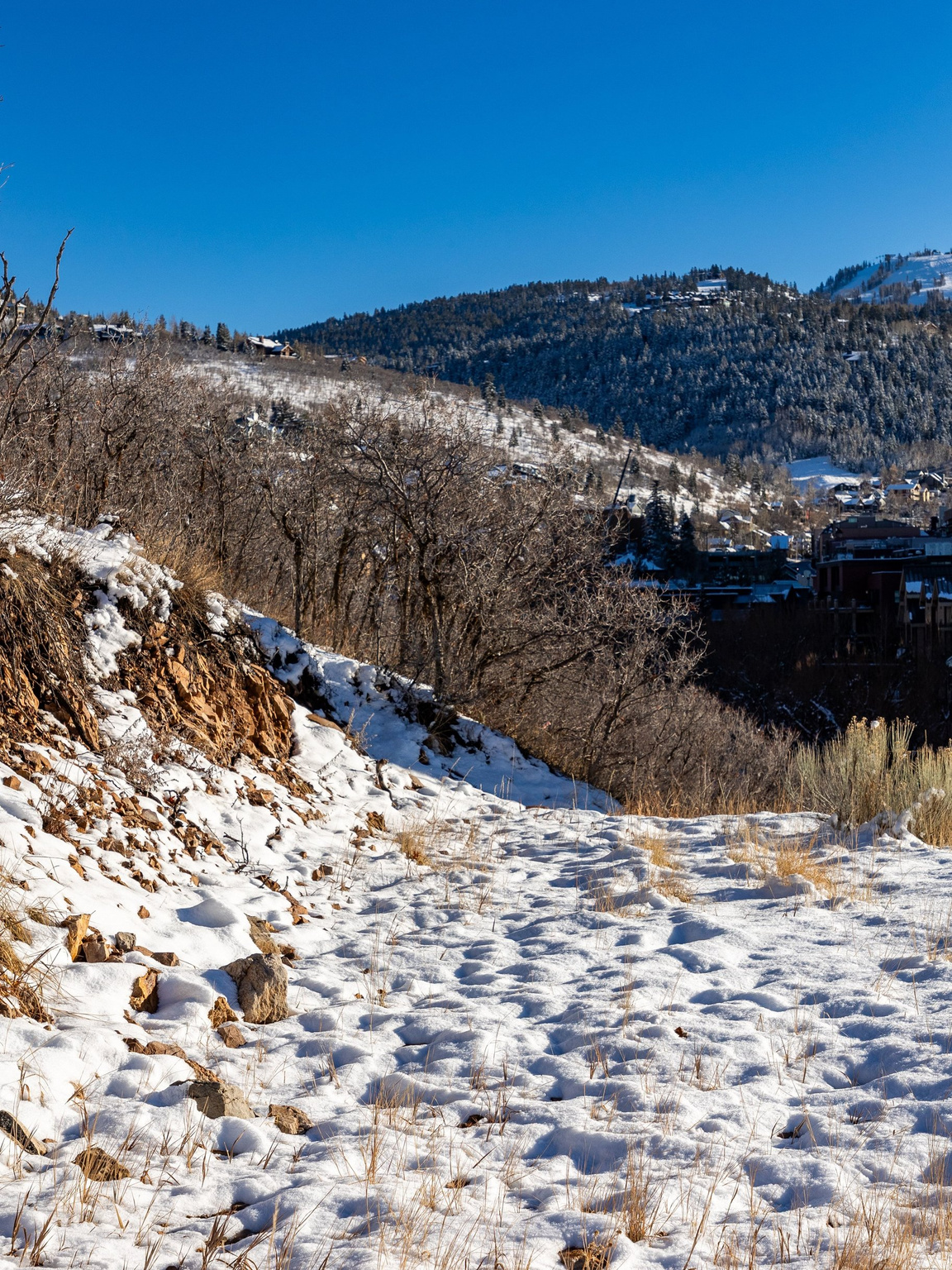 AERIE AREA-HUBER - Land