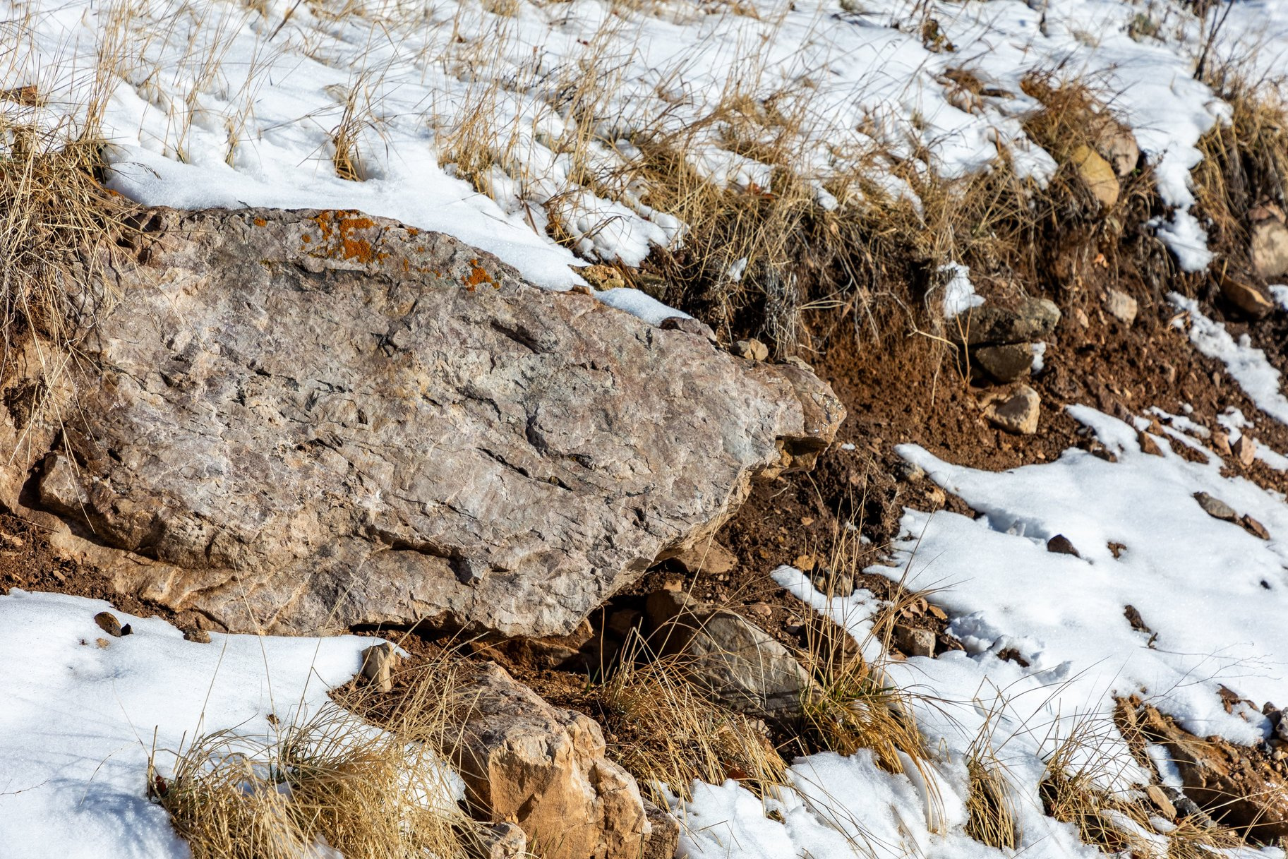 AERIE AREA-HUBER - Land