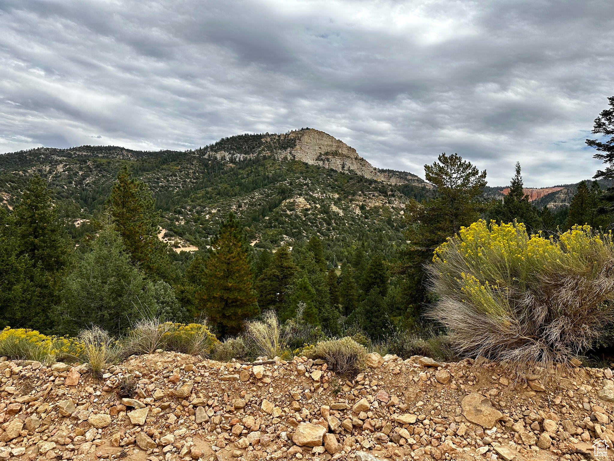 #12, Kanab, Utah image 5