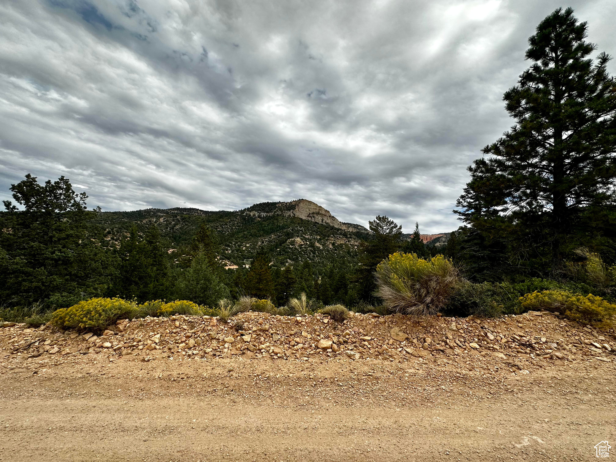 #12, Kanab, Utah image 6