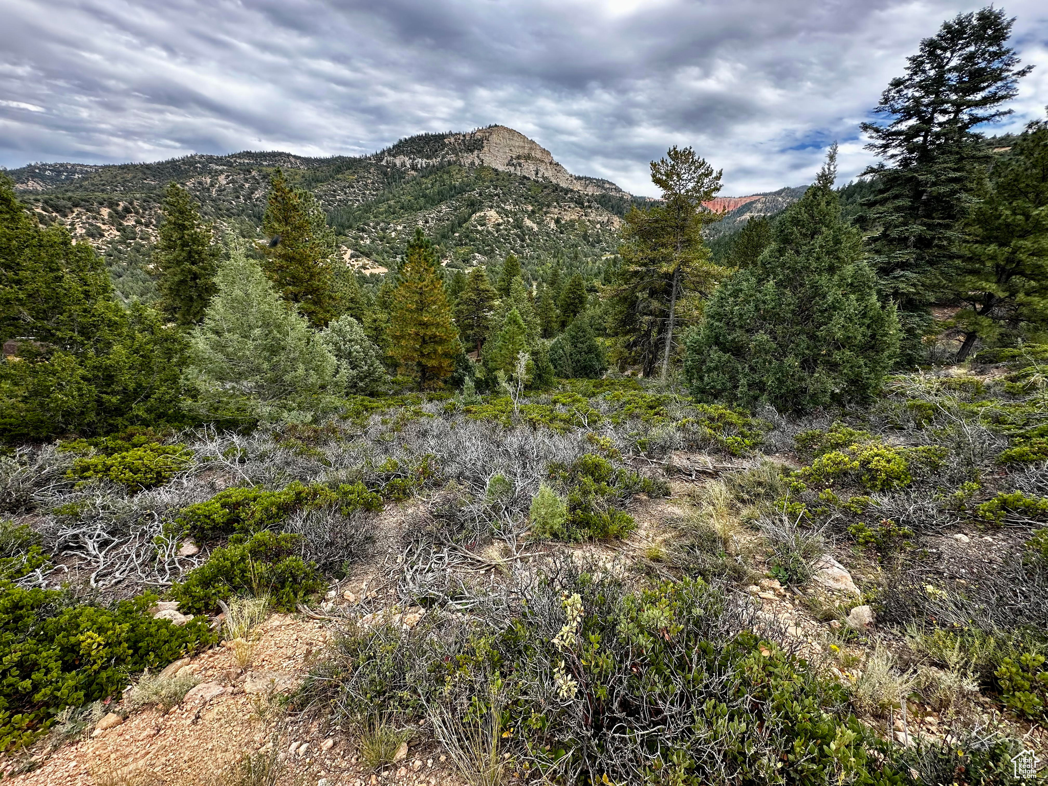 #12, Kanab, Utah image 8