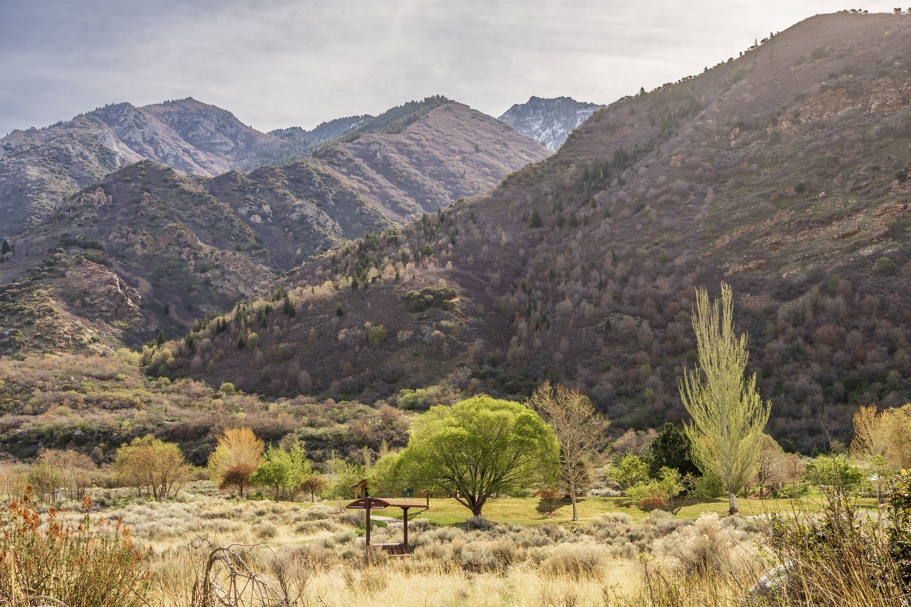 HIGHLANDS/HIDDEN VLY - Residential